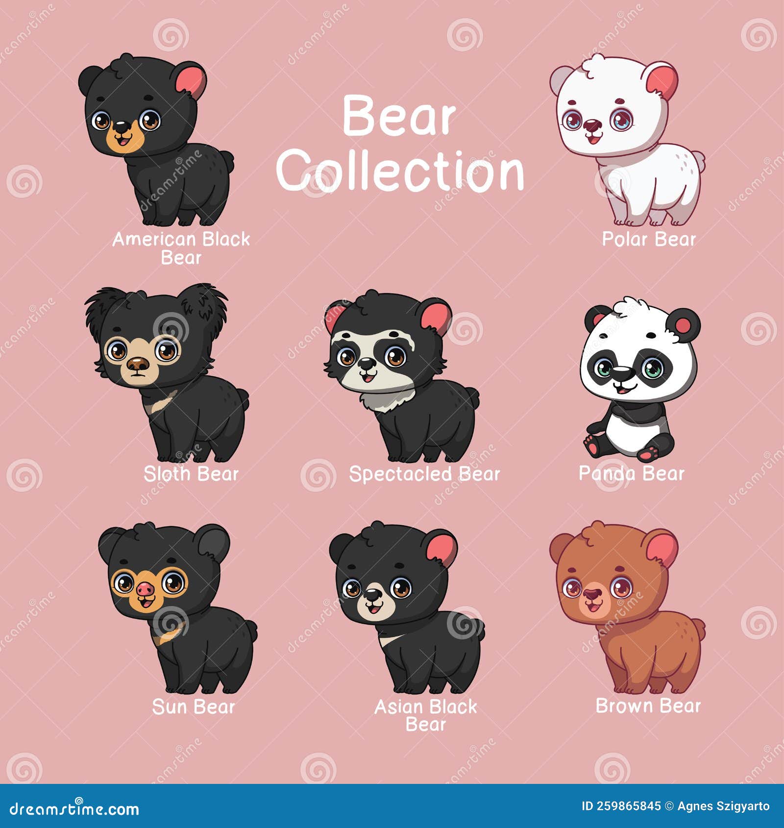 Collection of Bear Species with Name Text Stock Vector Illustration