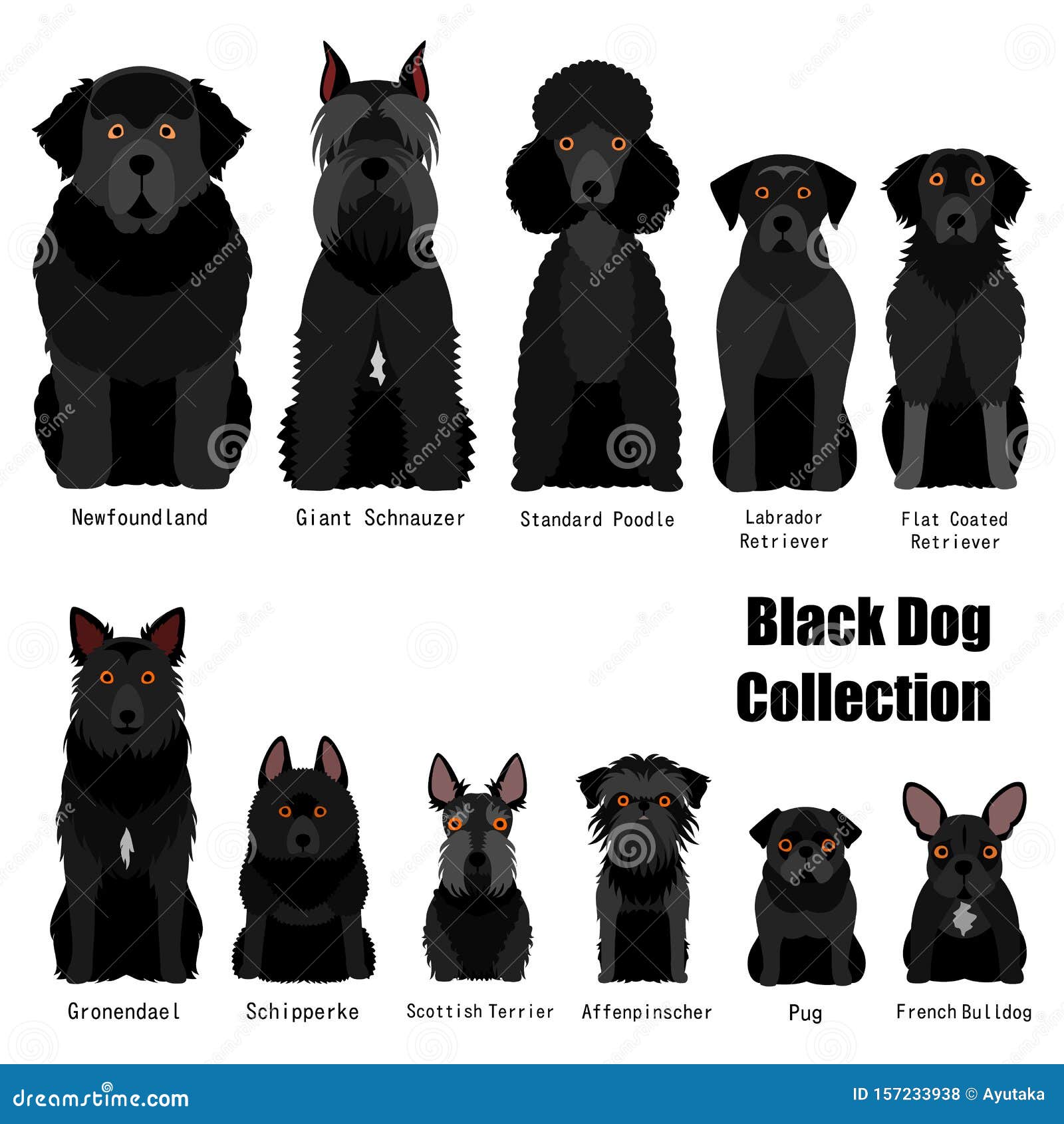 Dog Breed Chart With Names