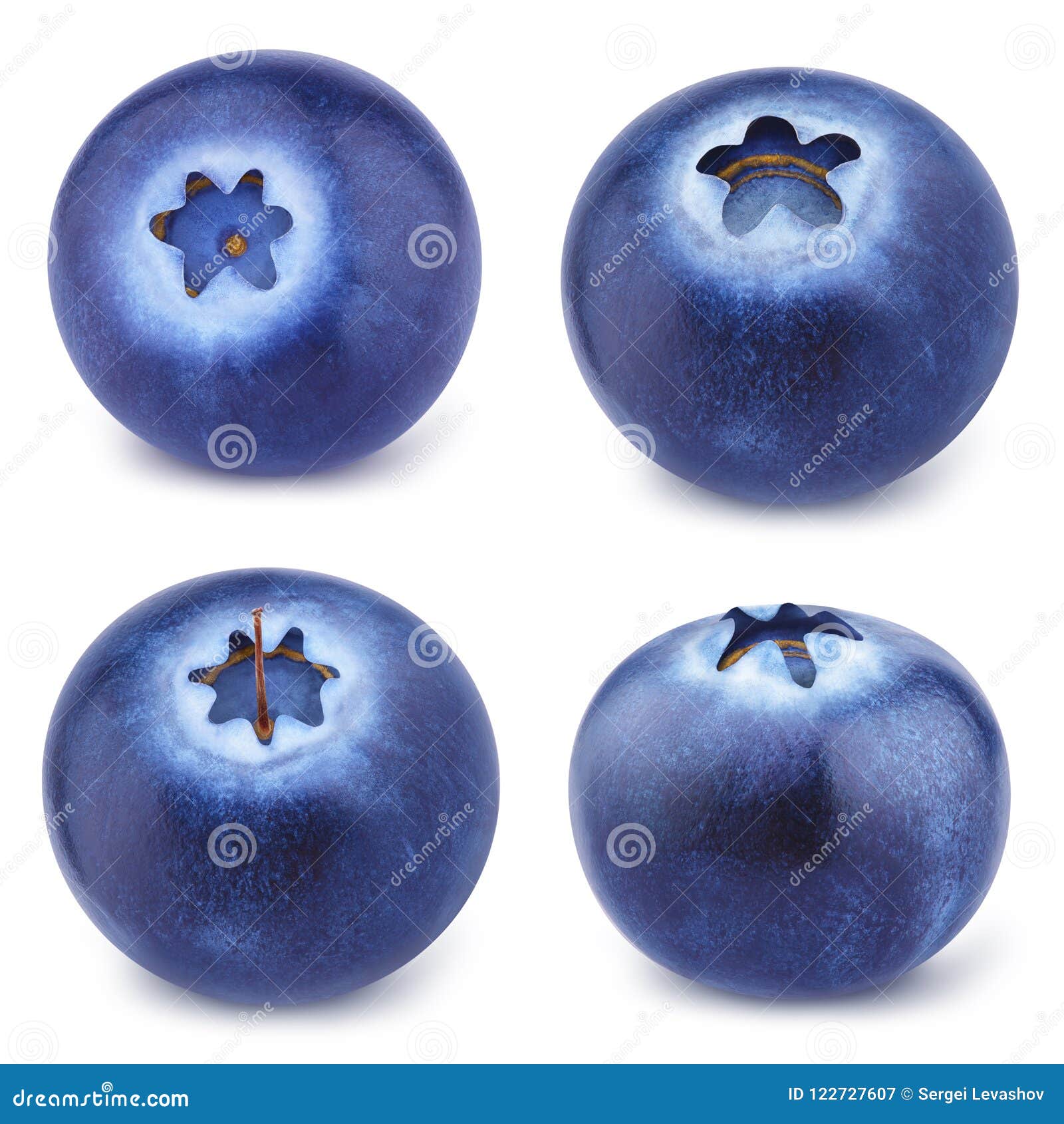 Collection of Blueberries Isolated on a White. Stock Image Image of element, package 122727607