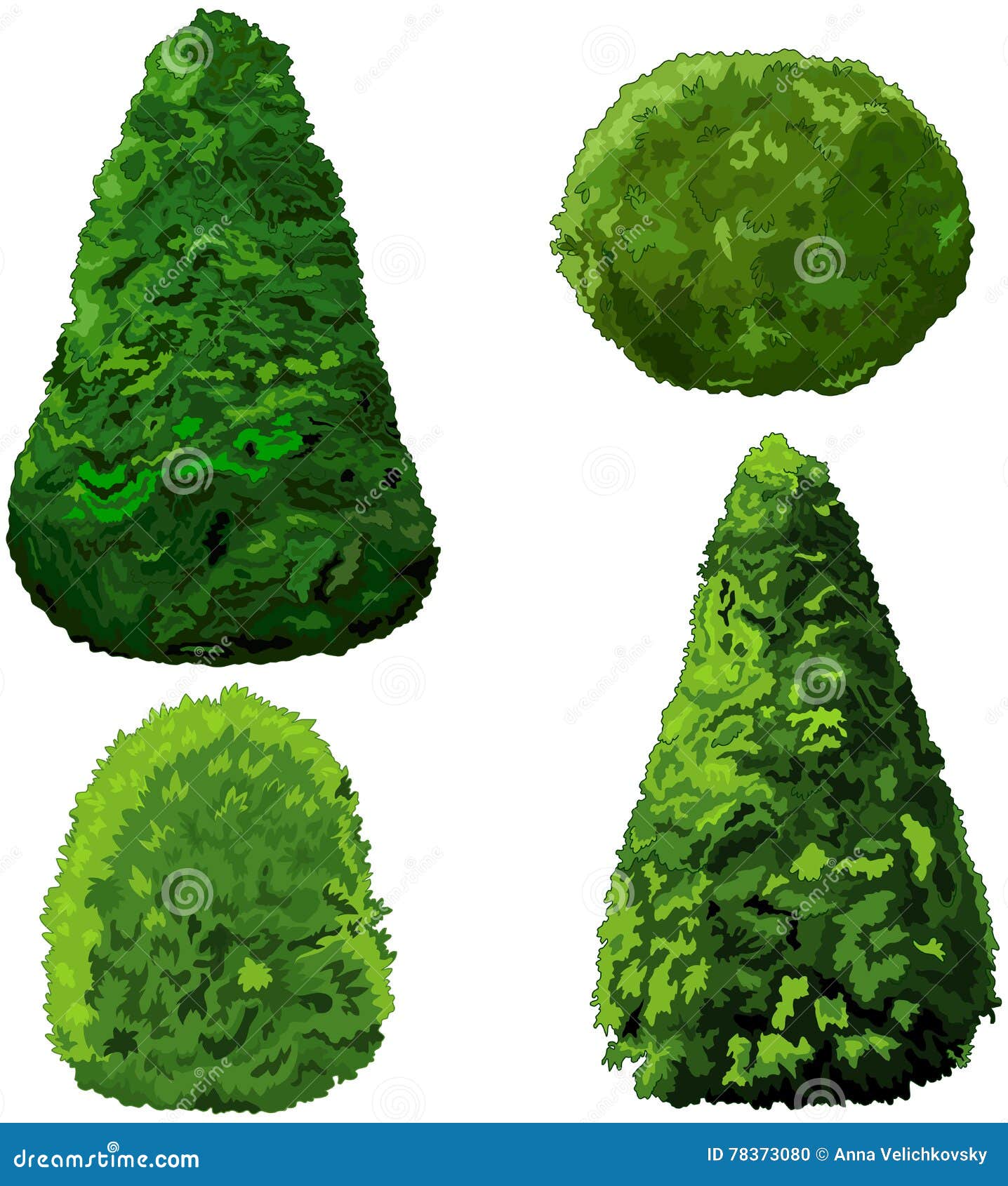 collection of bushes and cypress