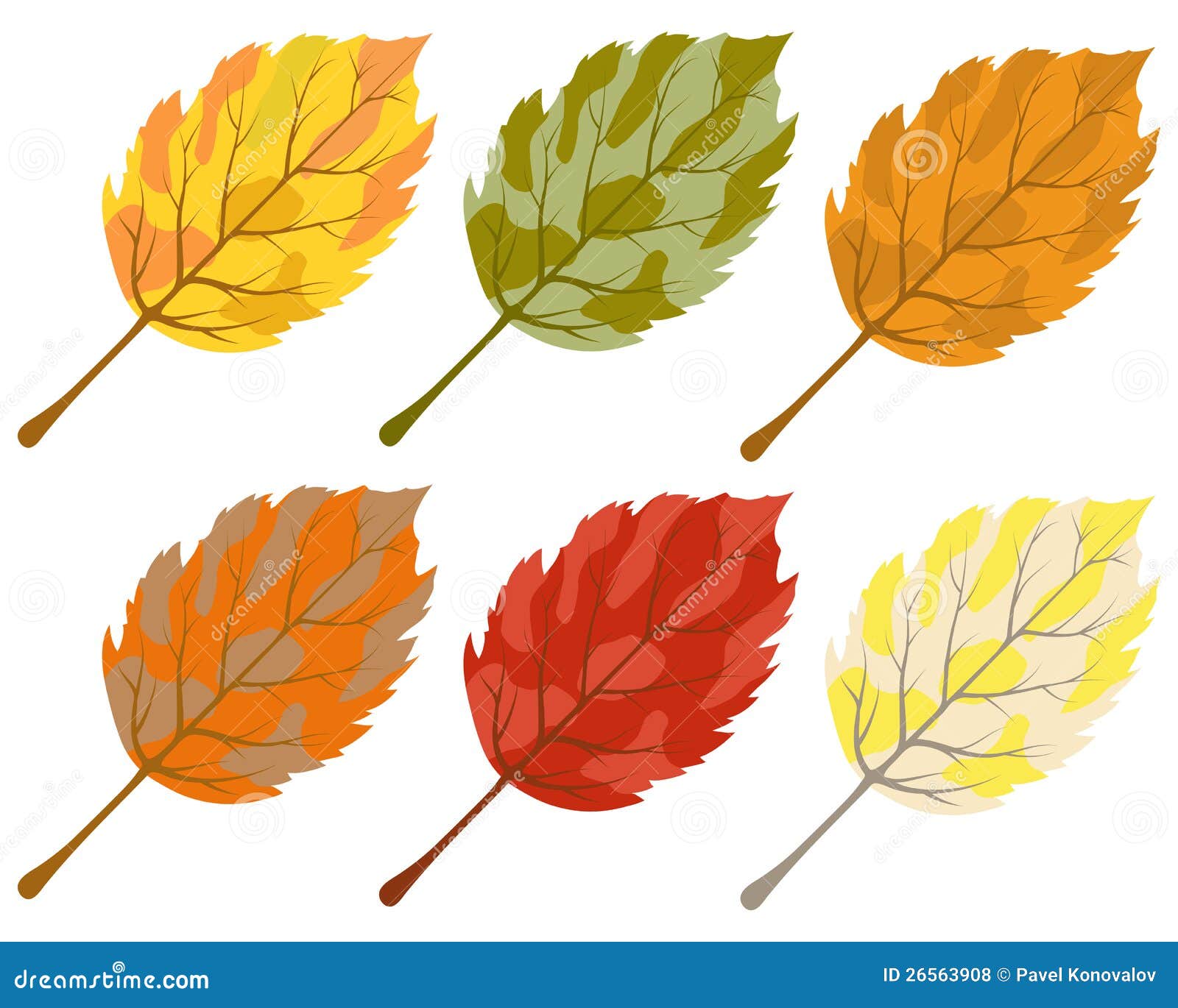 Collection Of Color Autumn Leaves Stock Vector - Illustration of design