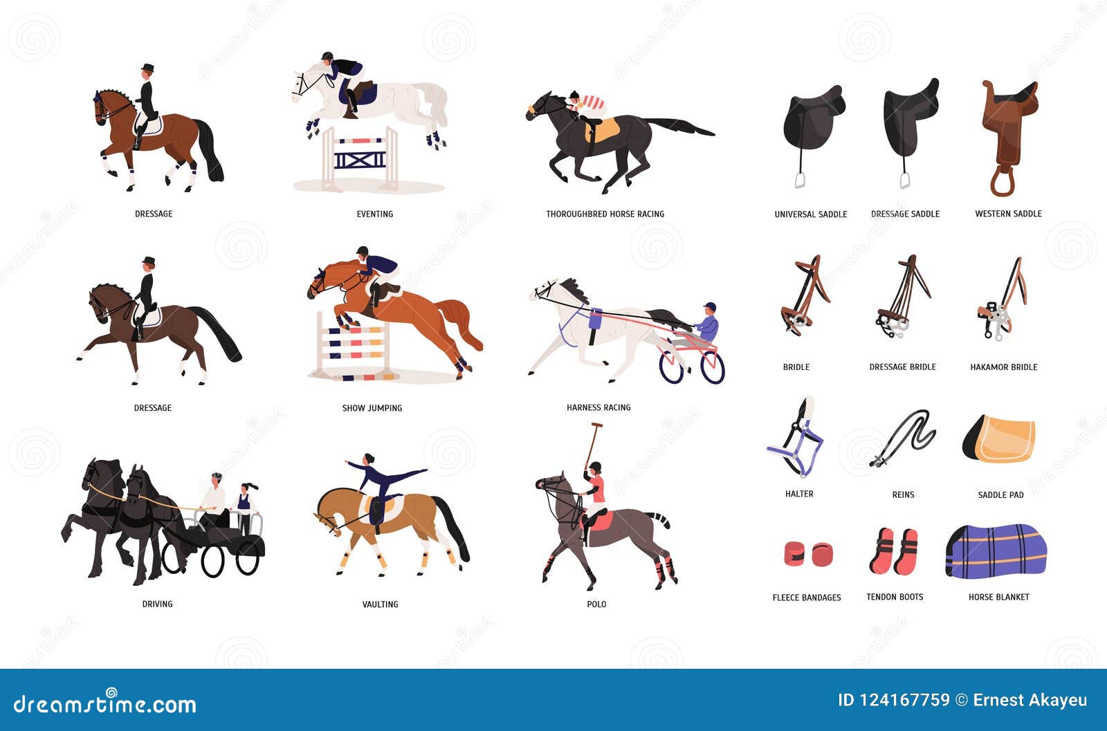 Collection De Diverses Démarches Et D'outils De Cheval Pour L'équitation Ou  équitation D'isolement Sur Le Fond Blanc Illustration de Vecteur -  Illustration du positionnement, matériel: 124167759