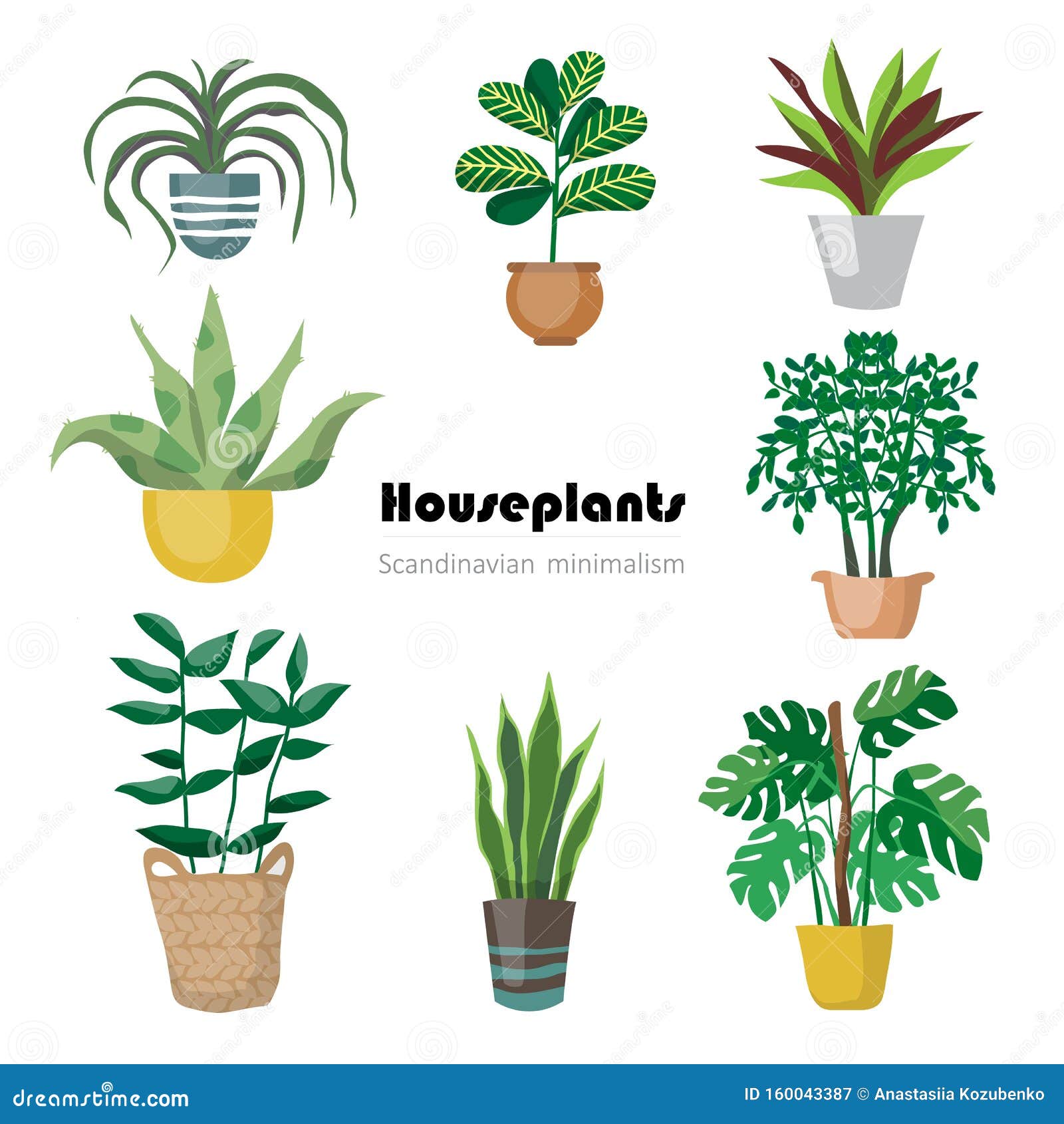 Collection of Decorative Houseplants Isolated on White Background