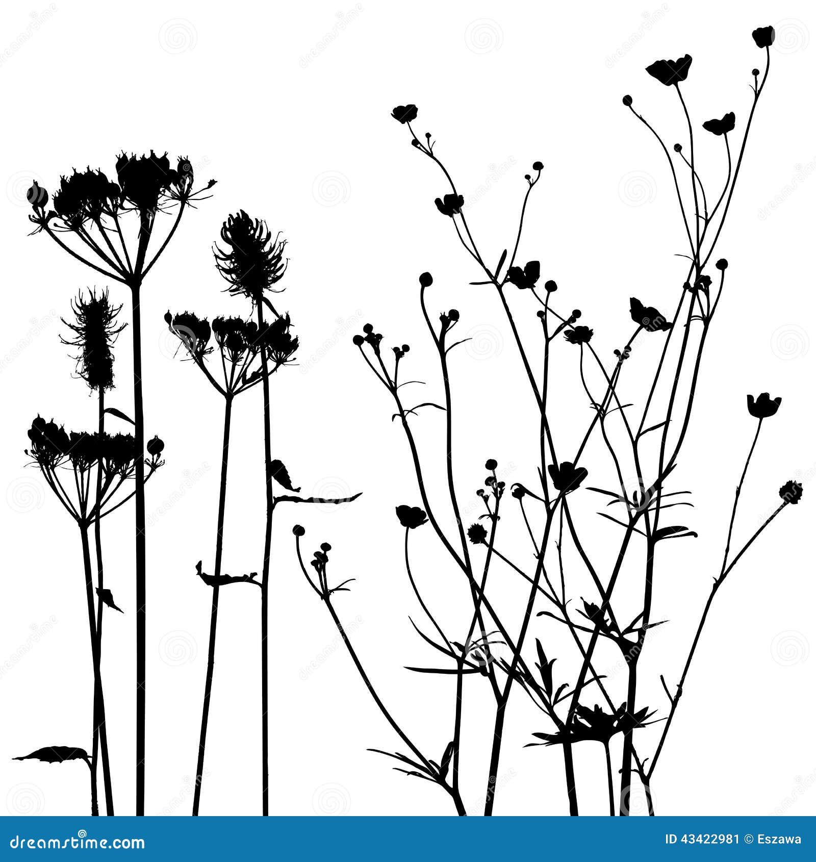 Collection for Designers, Plant Vector Stock Vector - Illustration of ...