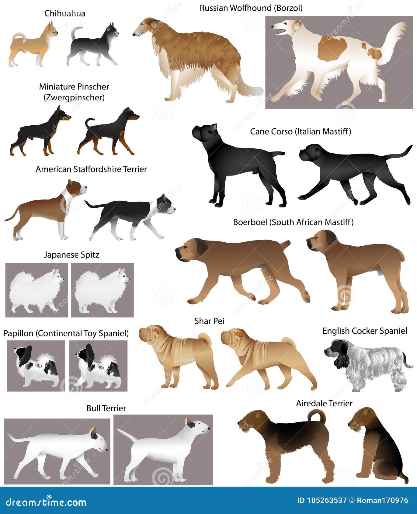 Collection Of Different Breeds Of Dogs Stock Vector