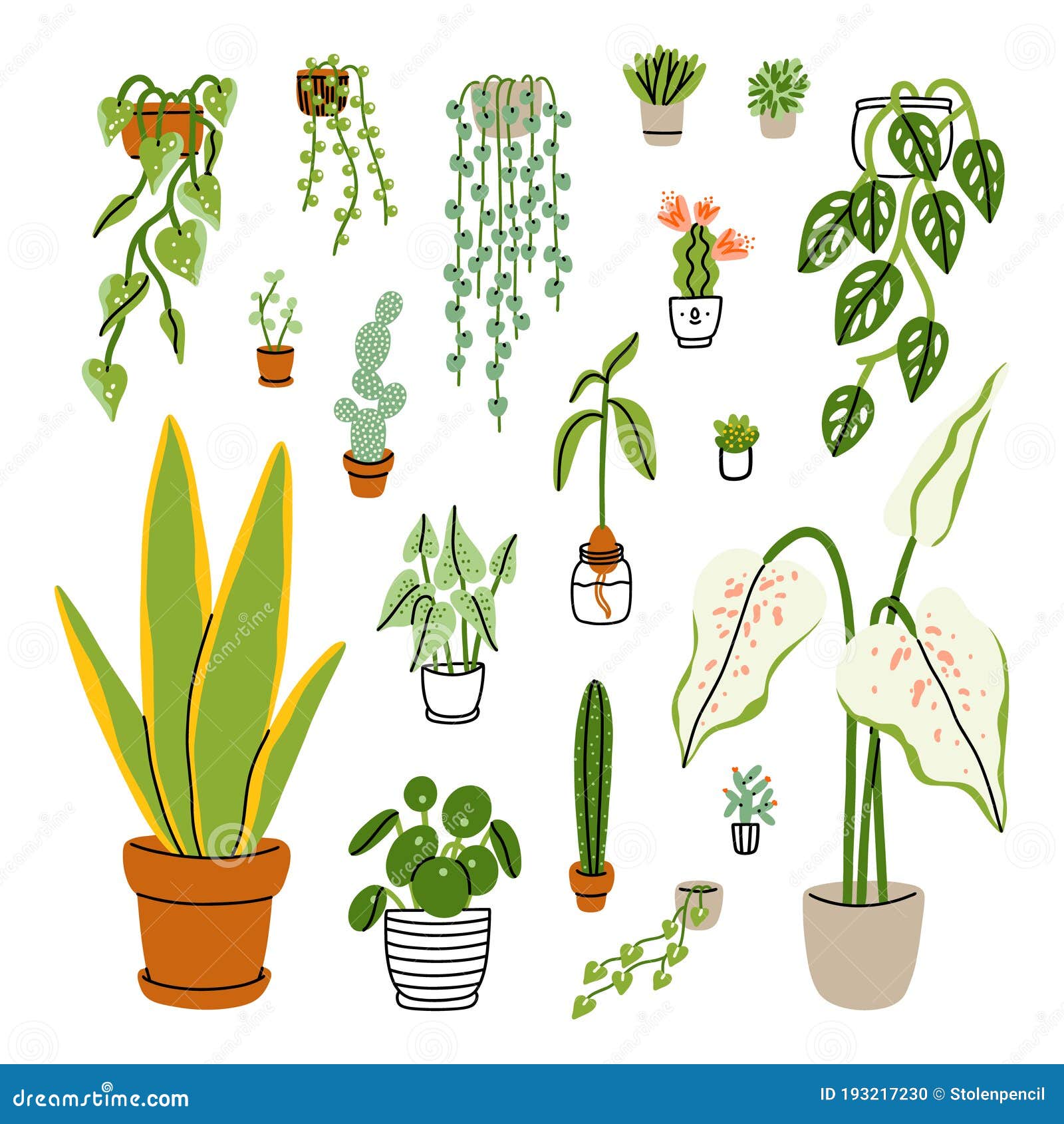 Collection of 18 Different Home Plants, Vector Illustrations Stock Vector Illustration of
