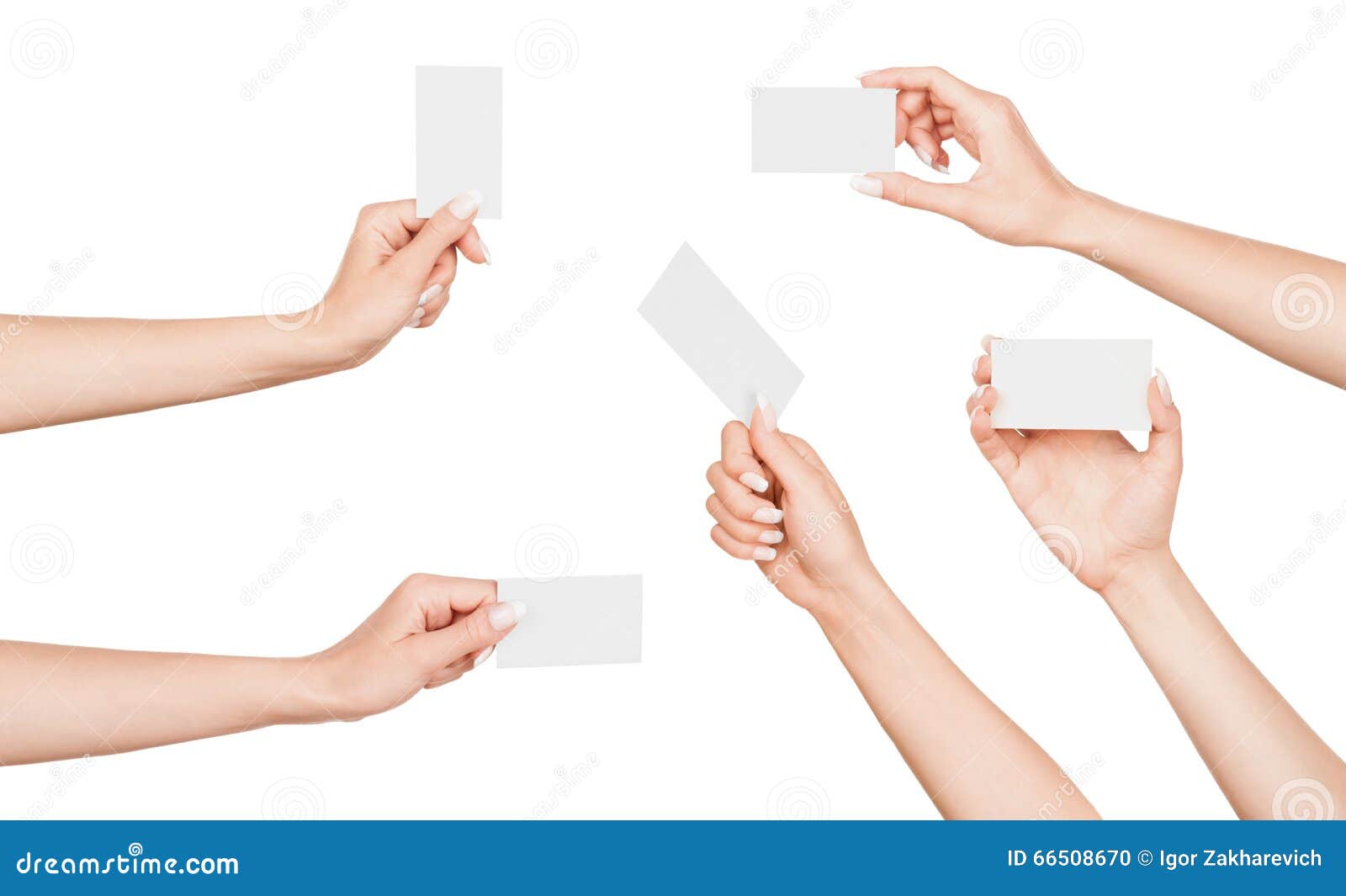 500,874 Business Card Stock Photos - Free & Royalty-Free Stock Photos from  Dreamstime