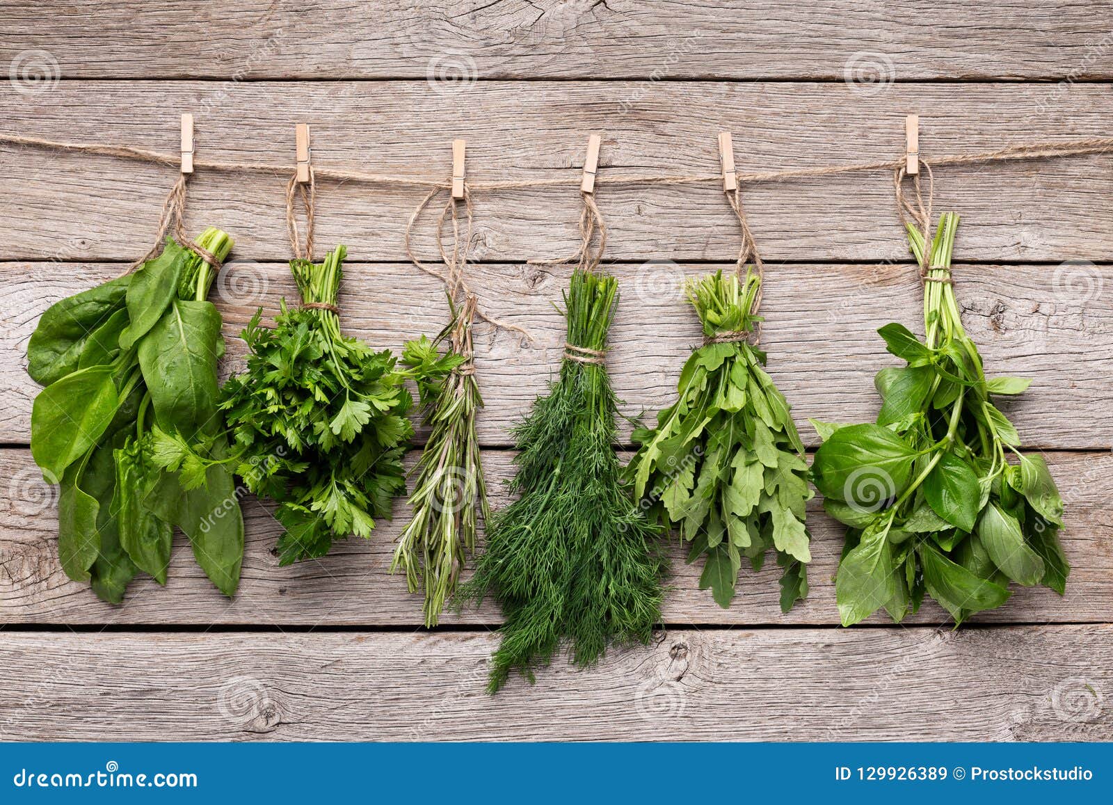 Collection of Fresh Herbs Hanging on Wooden Background Stock Image