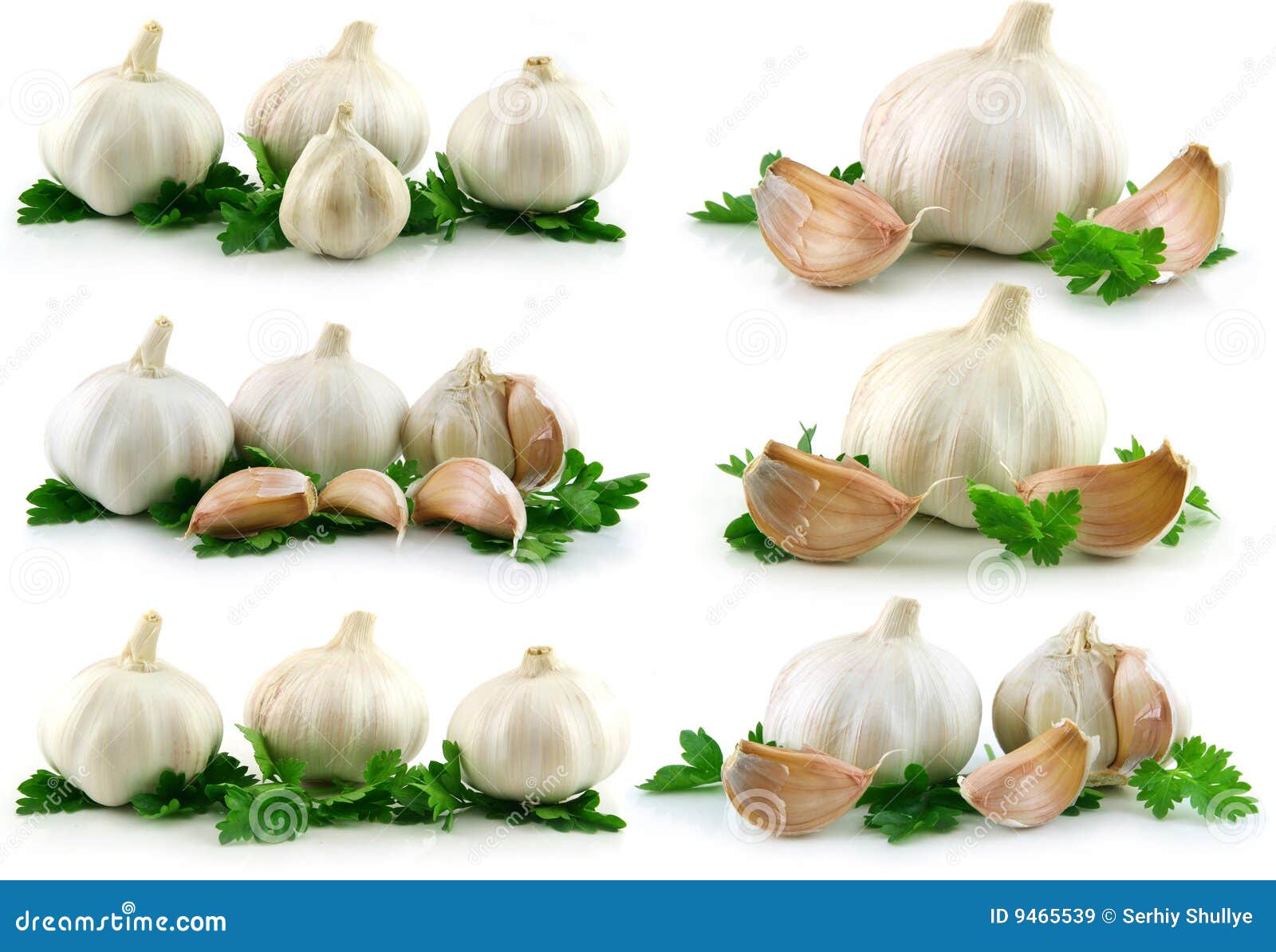 Collection of Garlic Vegetable with Green Parsley Stock Image Image