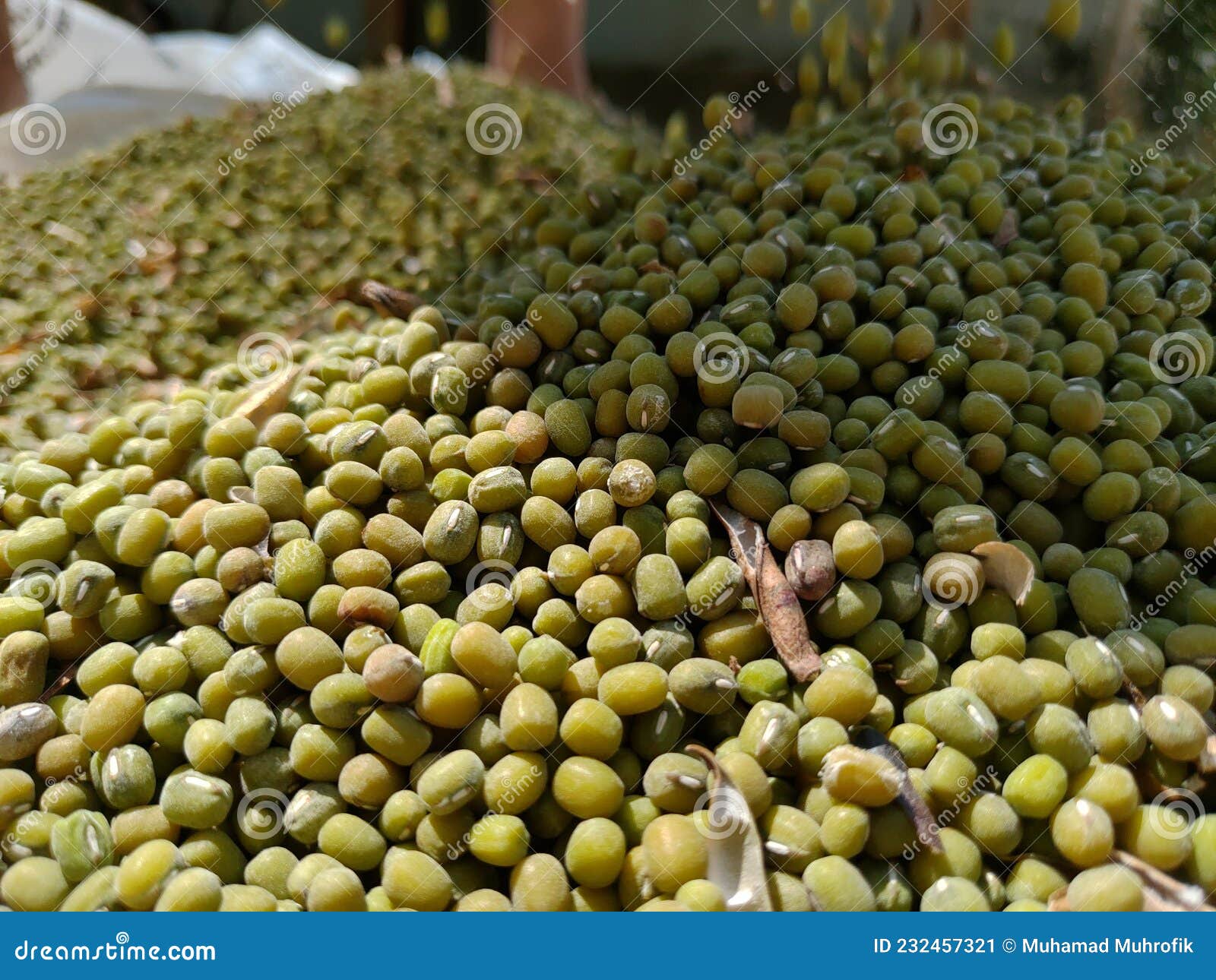 A Collection of Green Bean Seeds with a Blur Effect Stock Image Image