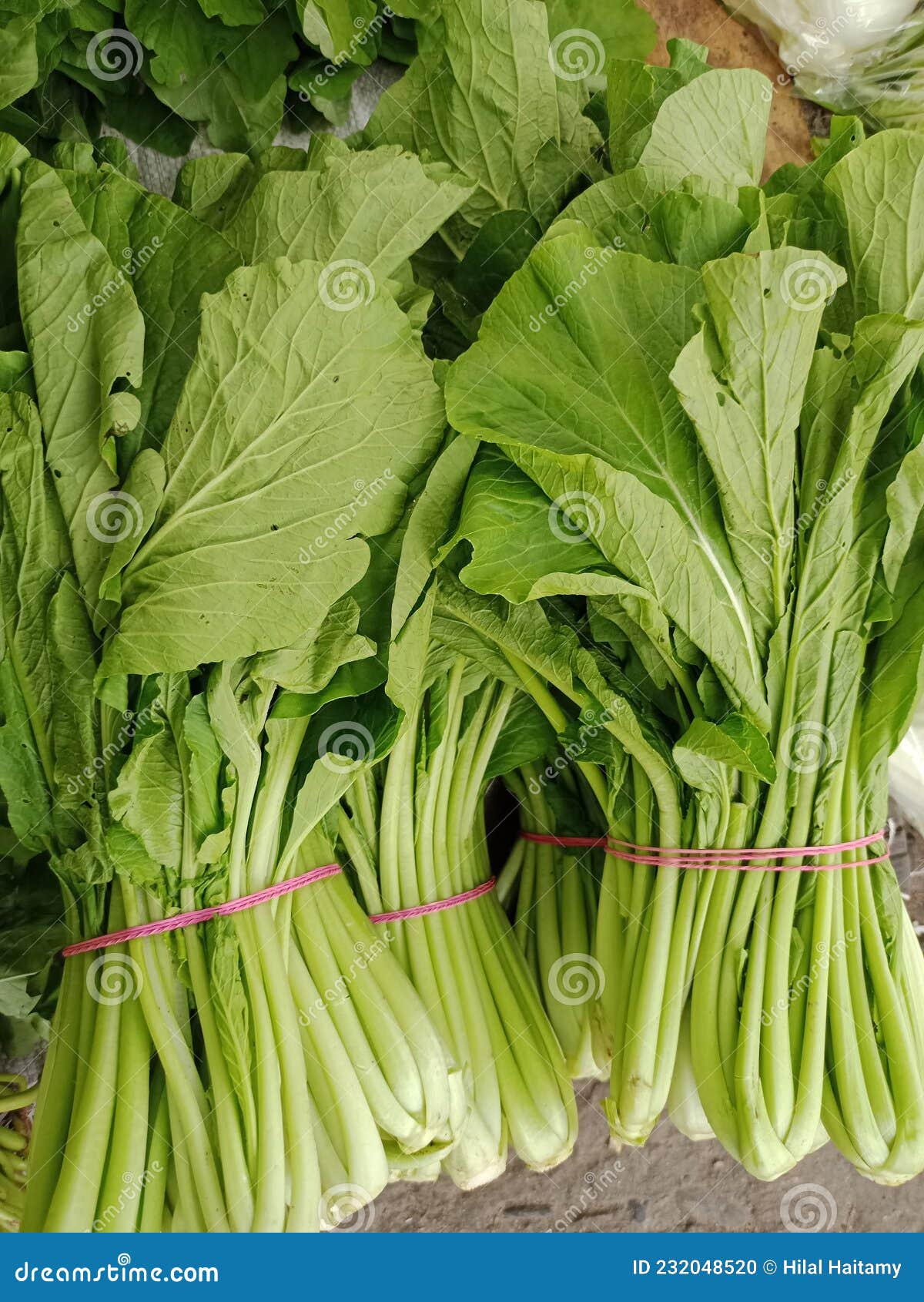 A Collection of Green Mustard Leaves, Fresh, Natural. Stock Photo