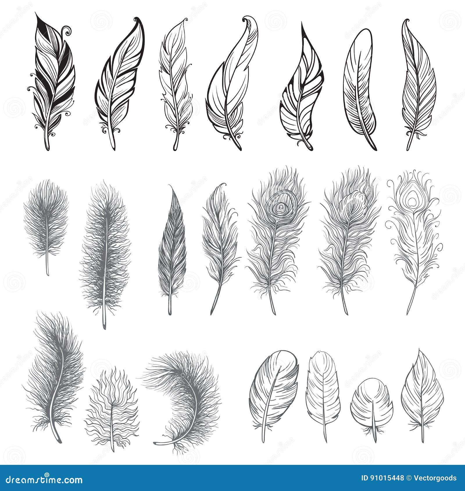 collection of hand drawn feather.