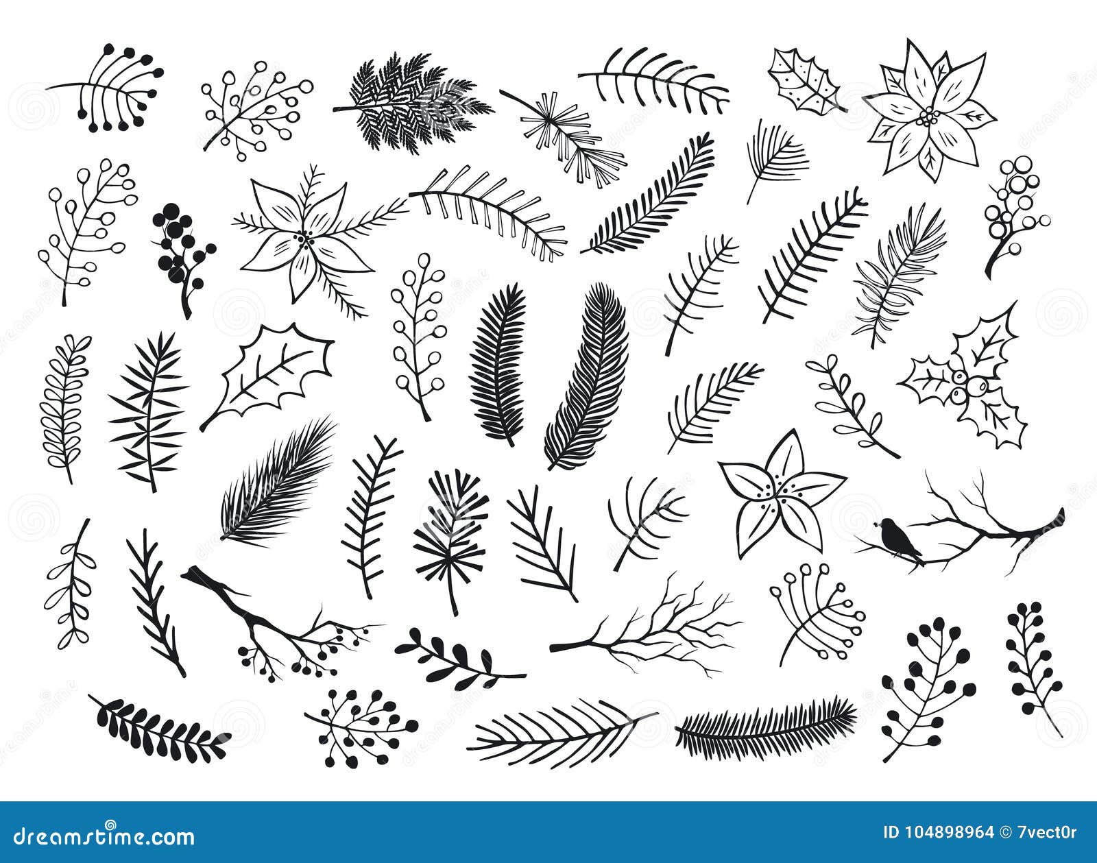 collection of hand drawn outlined and silhouettes winter foliage, branches twigs, flowers in black