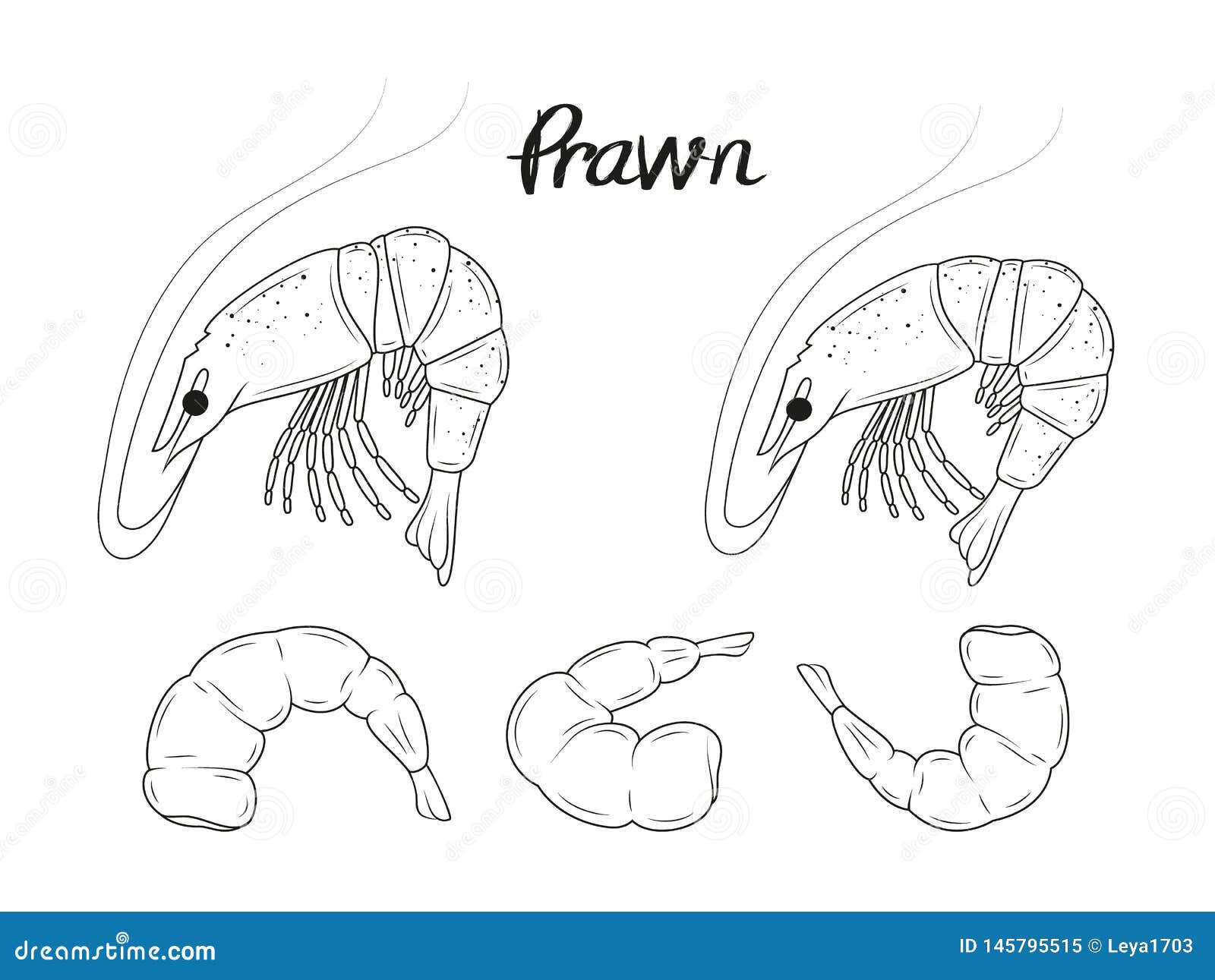 Prawns рисунок легкий