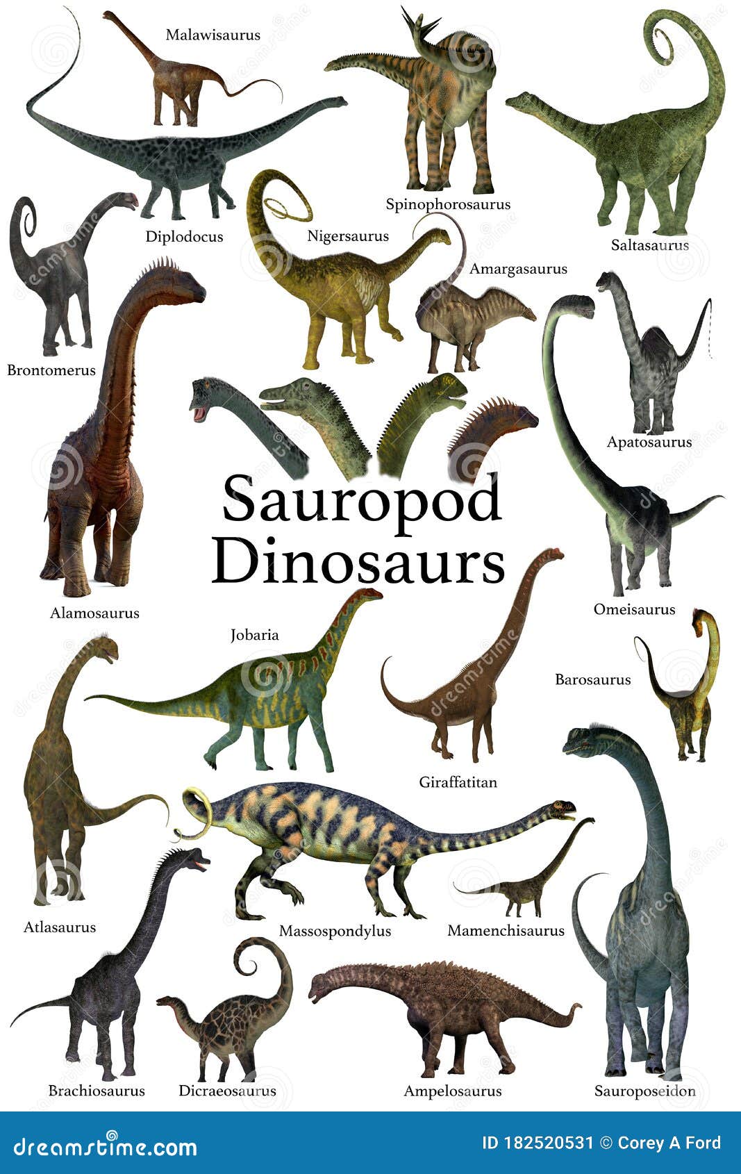 Sauropod Dinosaurs Collection Stock Illustration - Illustration of  compilation, heads: 182520531