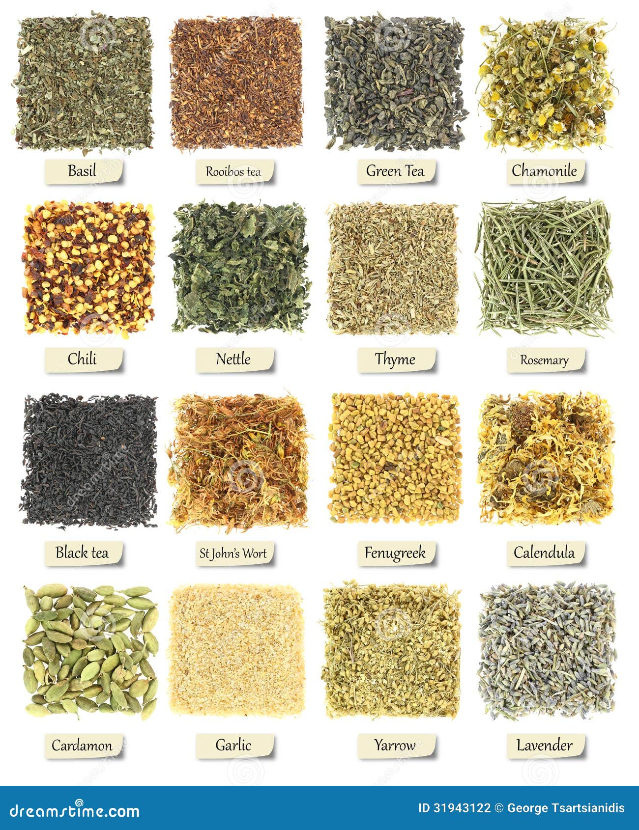Collection of Herbs and Spices Stock Photo Image of food, rooibos