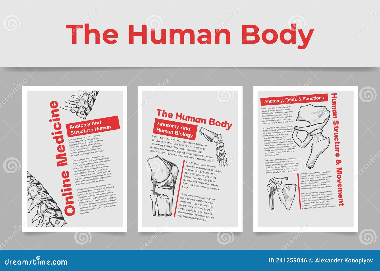 Collection Human Body Anatomy Online Medicine Poster Vector Engraved ... Biology Diagrams
