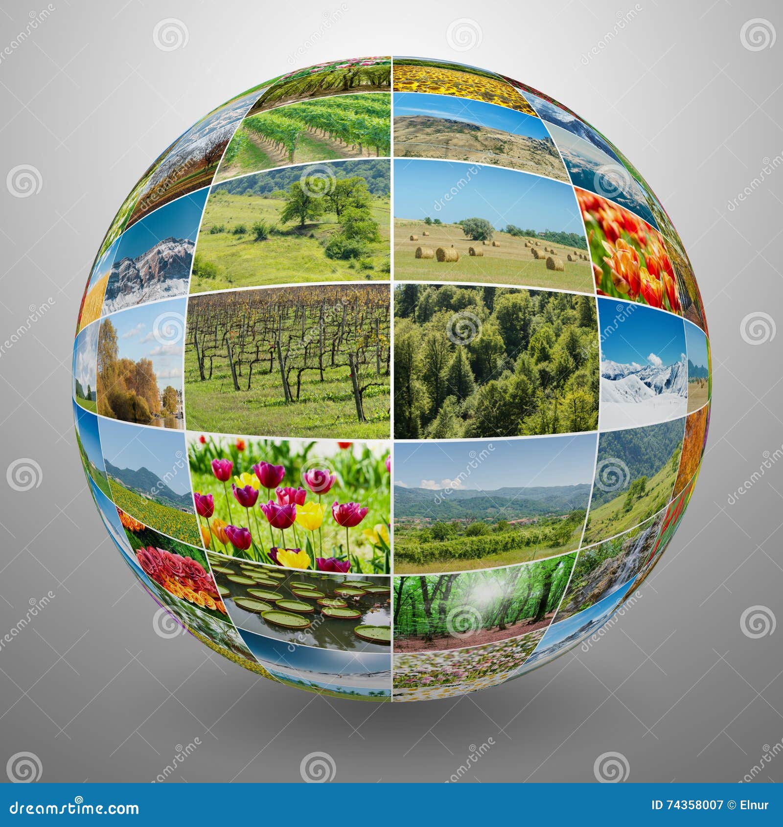 The Collection of Nature Photos in Collage Concept Stock Image Image