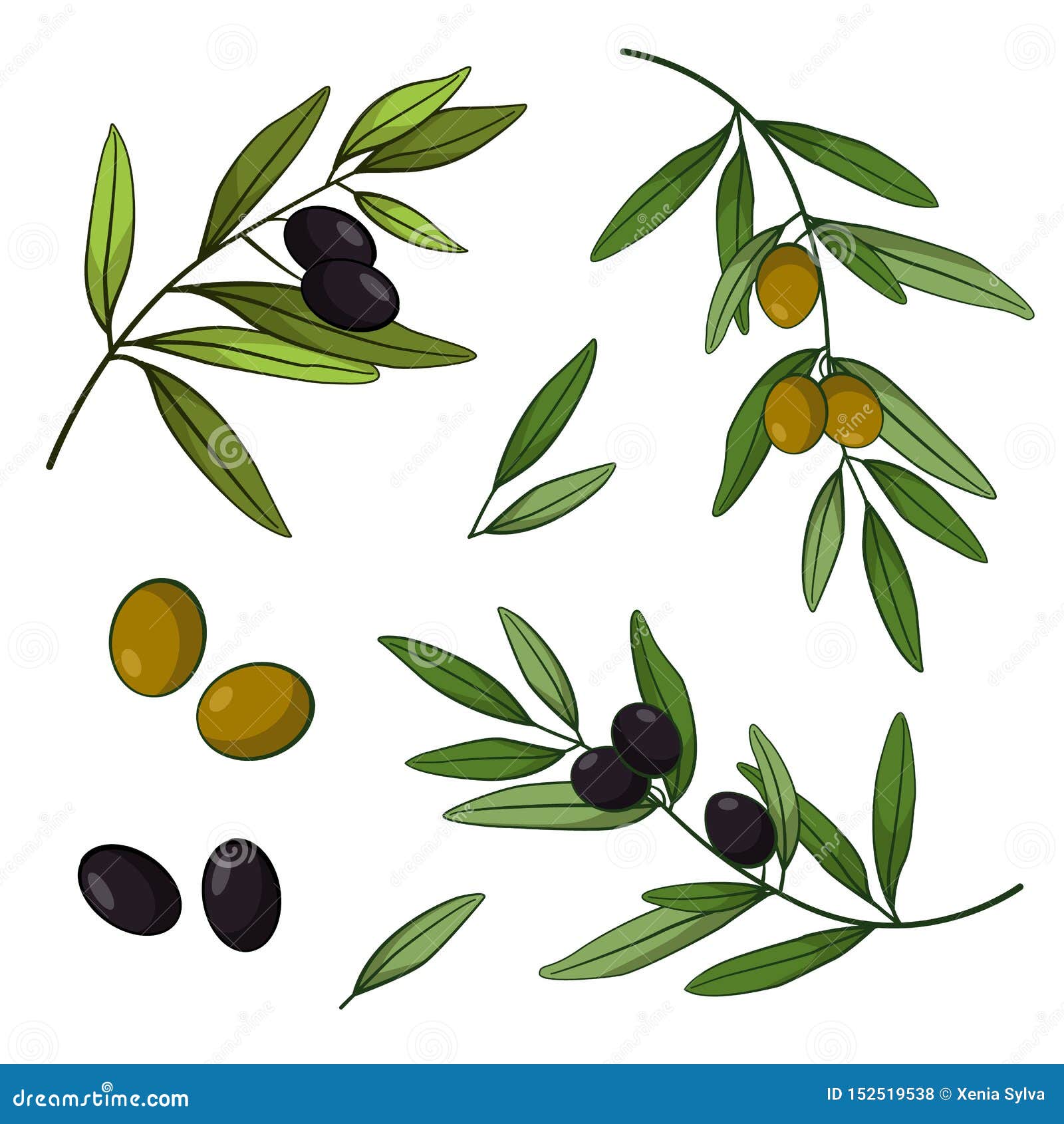 Olives Branches And Olive Crown. Greek Olives Branch And Wreath Set