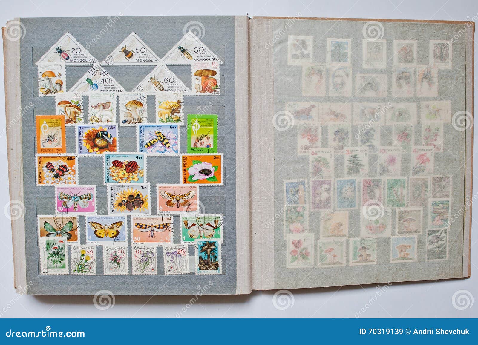 Collection of Postage Stamps in Album from Different Countries a