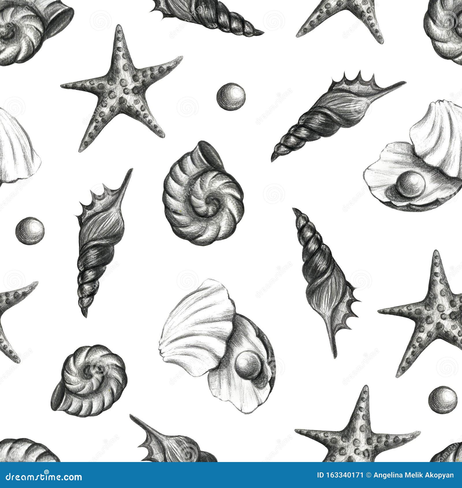 Collection of Sea Animals. Hand Drawing Sketch Pencil Illustration. Shell, Seastar, Underwater Life Stock Illustration - Illustration of drawing, background: 163340171 Collection of Sea Animals. Hand Drawing Sketch Pencil Illustration. Shell, Seastar, Underwater Life Stock Illustration - Illustration of drawing, background: 163340171