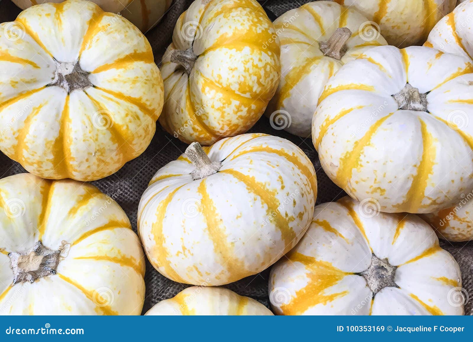 Download wallpaper 938x1668 pumpkin fruit minimalism white iphone  876s6 for parallax hd background