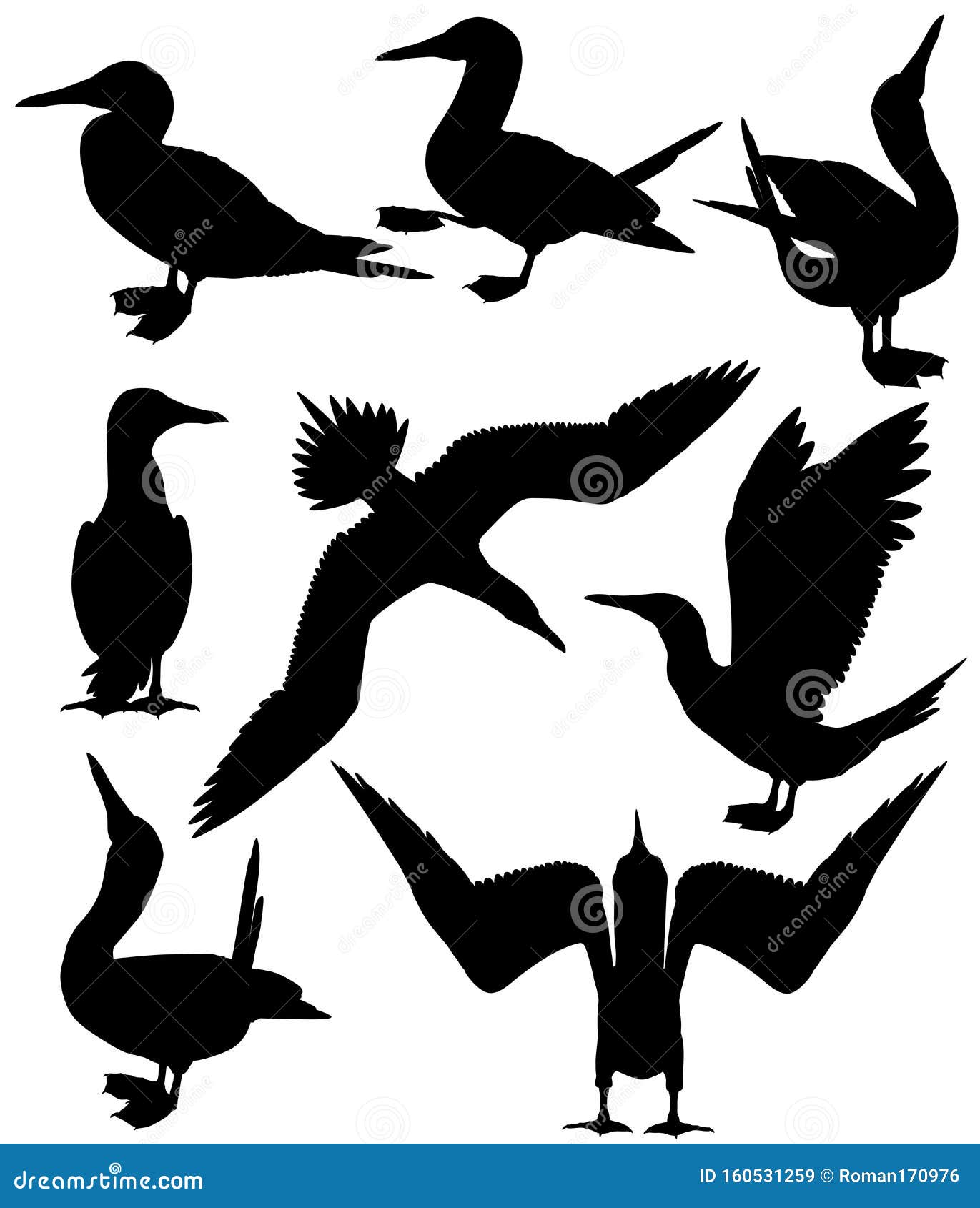 Boobies Cartoons, Illustrations & Vector Stock Images 72 Pictures to