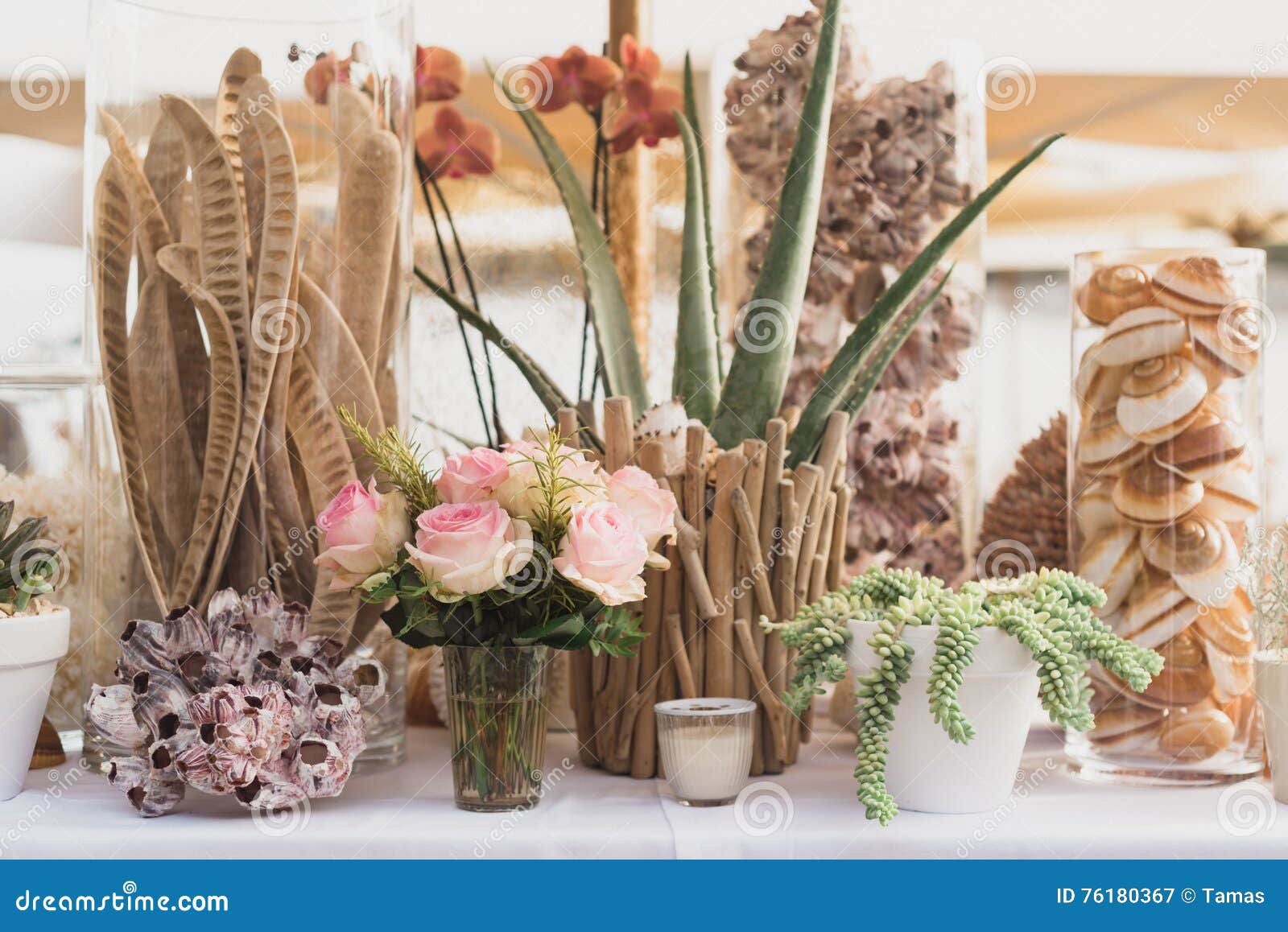 Collection of Table Decoration Stock Image Image of succulents, brown