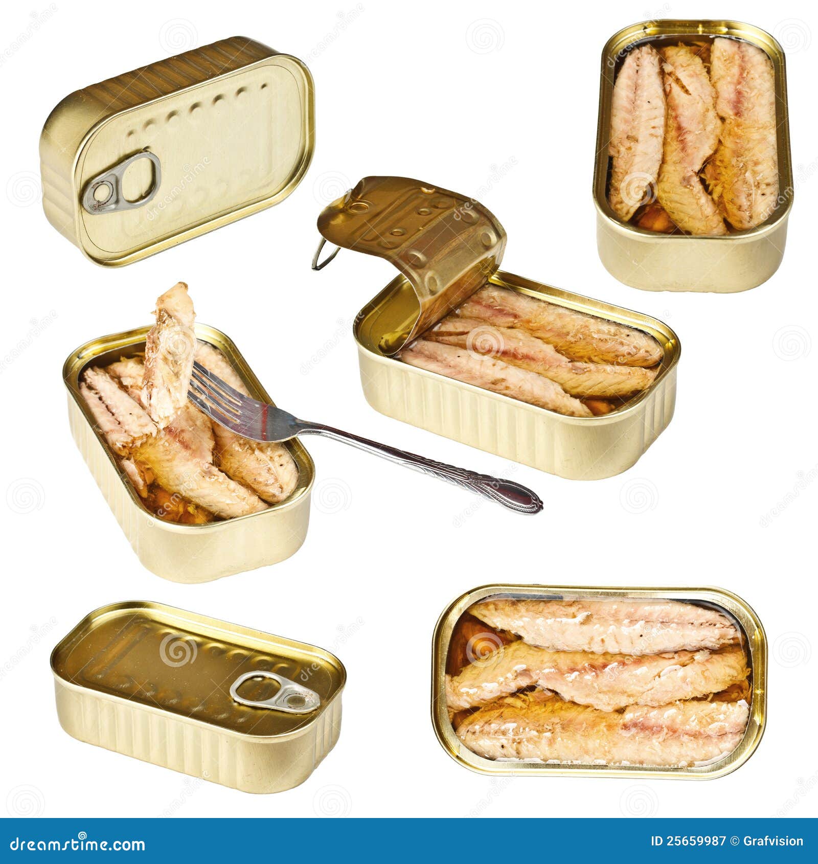 Collection of Tin Can Whit Mackerel Stock Image Image of mackerel