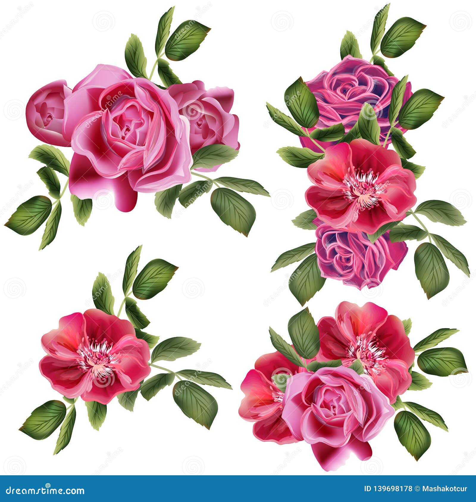 Collection of Vector Roses for Design Stock Vector - Illustration of ...