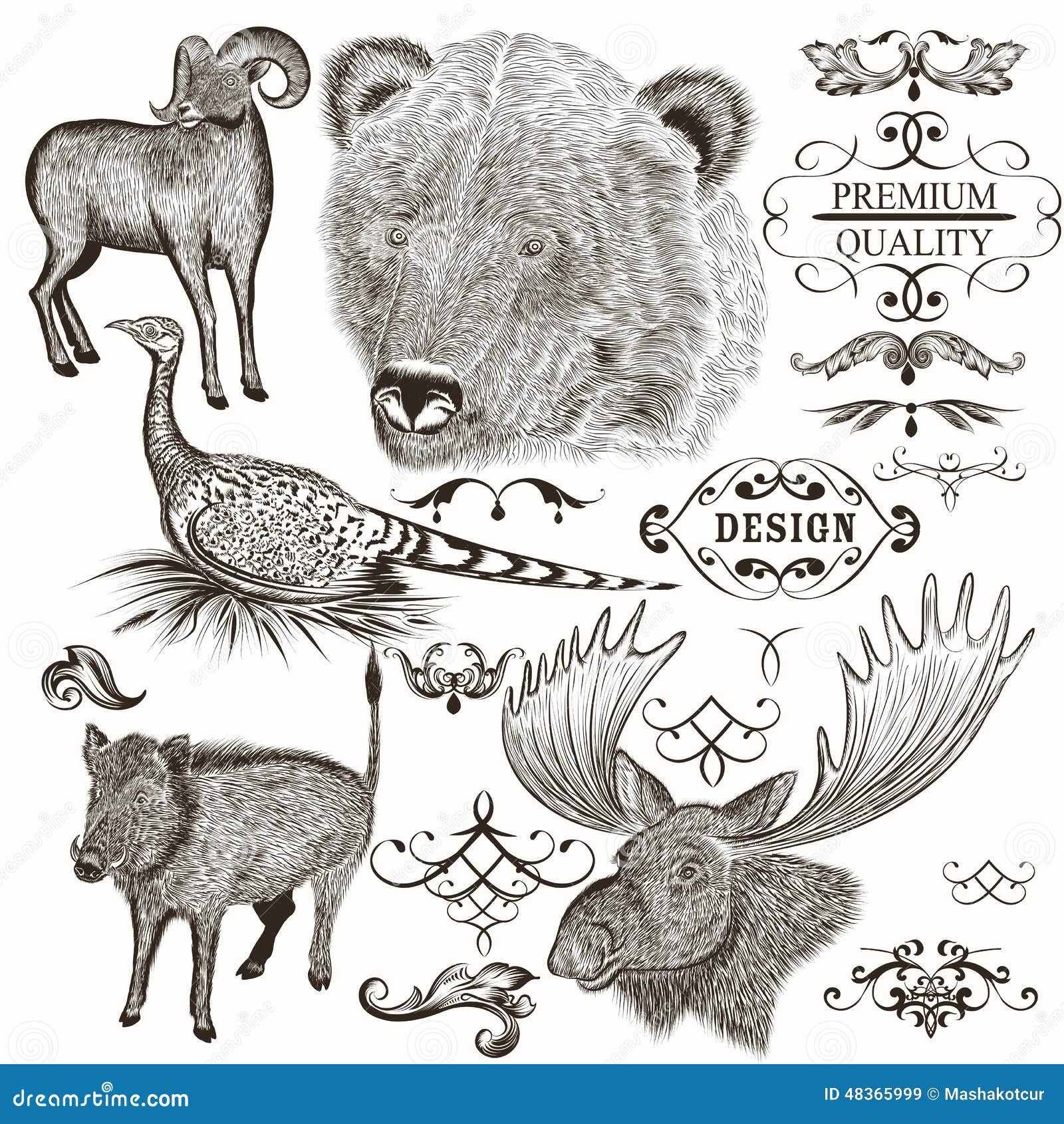 Collection of Vintage Hand Drawn Animals Stock Vector Illustration of