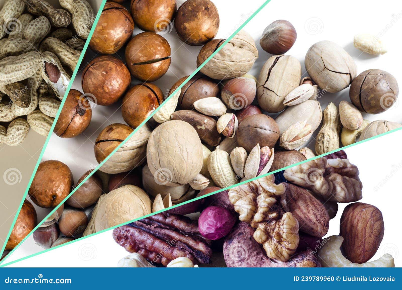 A Collection of Vivid Images of Various Types of Nuts. Peanuts