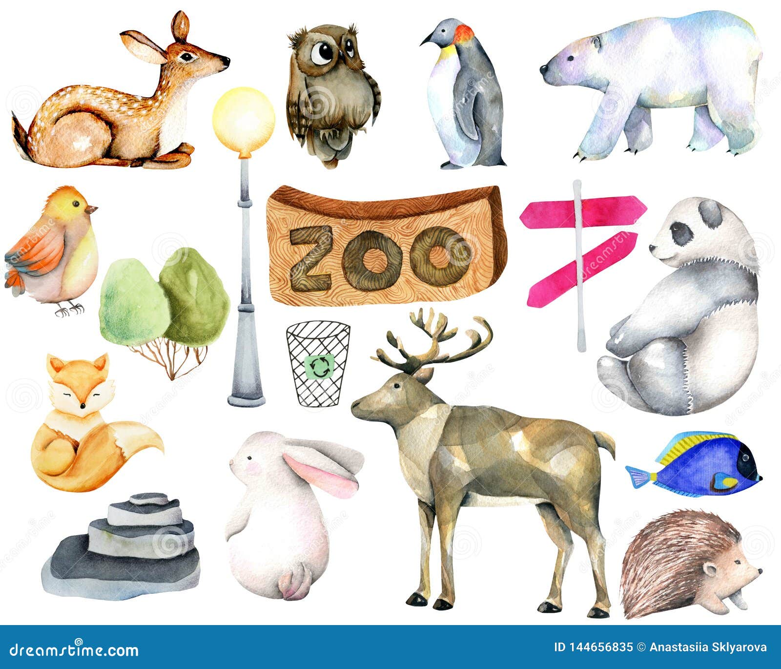 Collection of Watercolor Animals, Elements and Attributes of the Zoo
