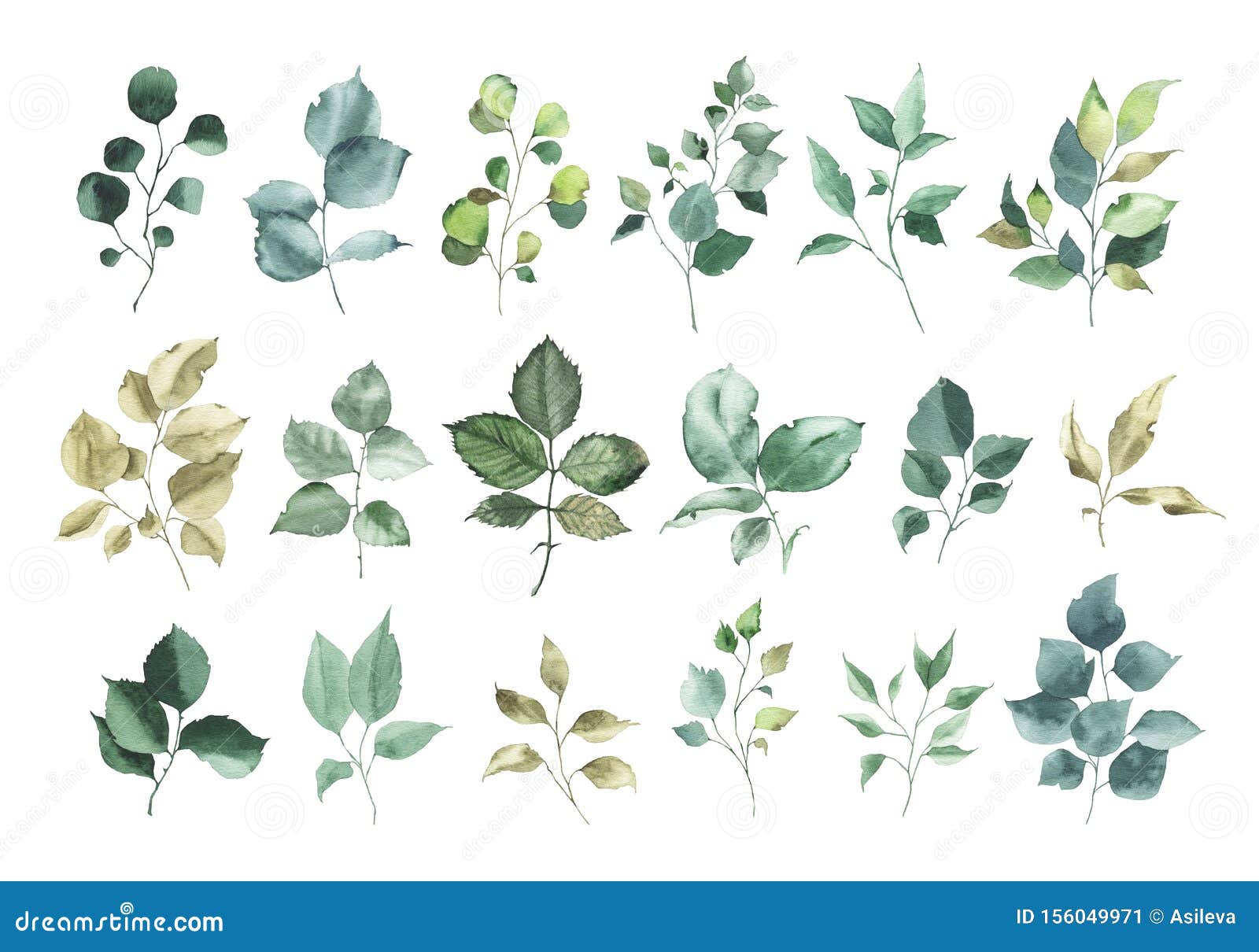 collection of watercolor greenery floral rose leaf plant
