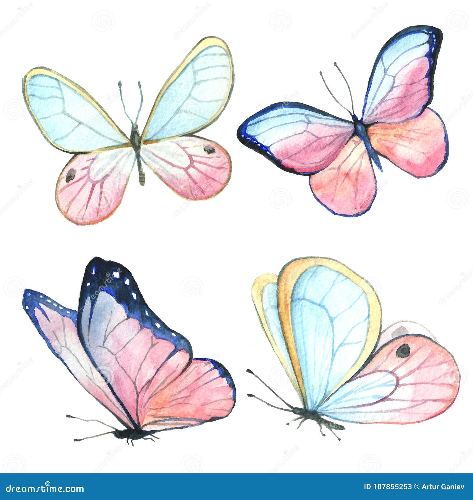 Collection of Watercolor Images of Beautiful Butterflies. Stock  Illustration - Illustration of hand, clipart: 107855253