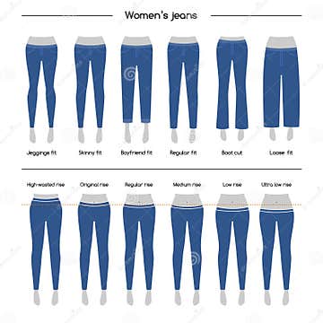 Collection of womens jeans stock vector. Illustration of template ...