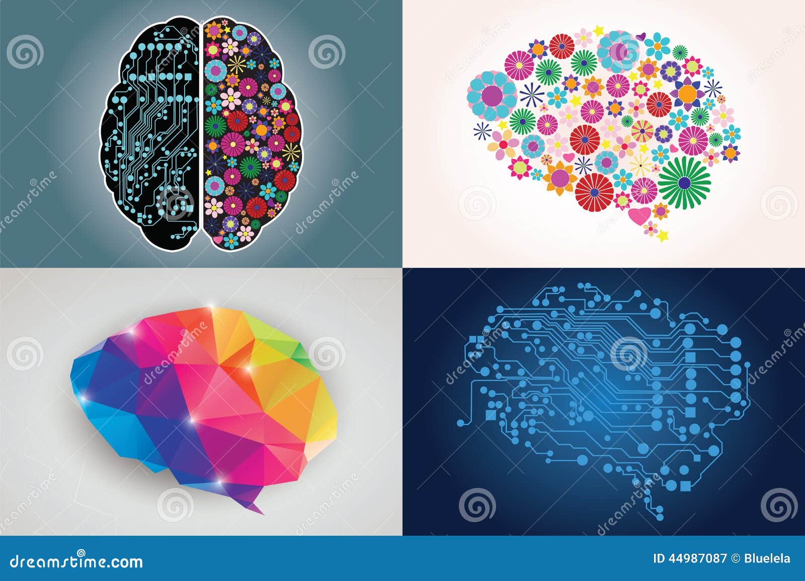 collections of four different human brains, left and right side