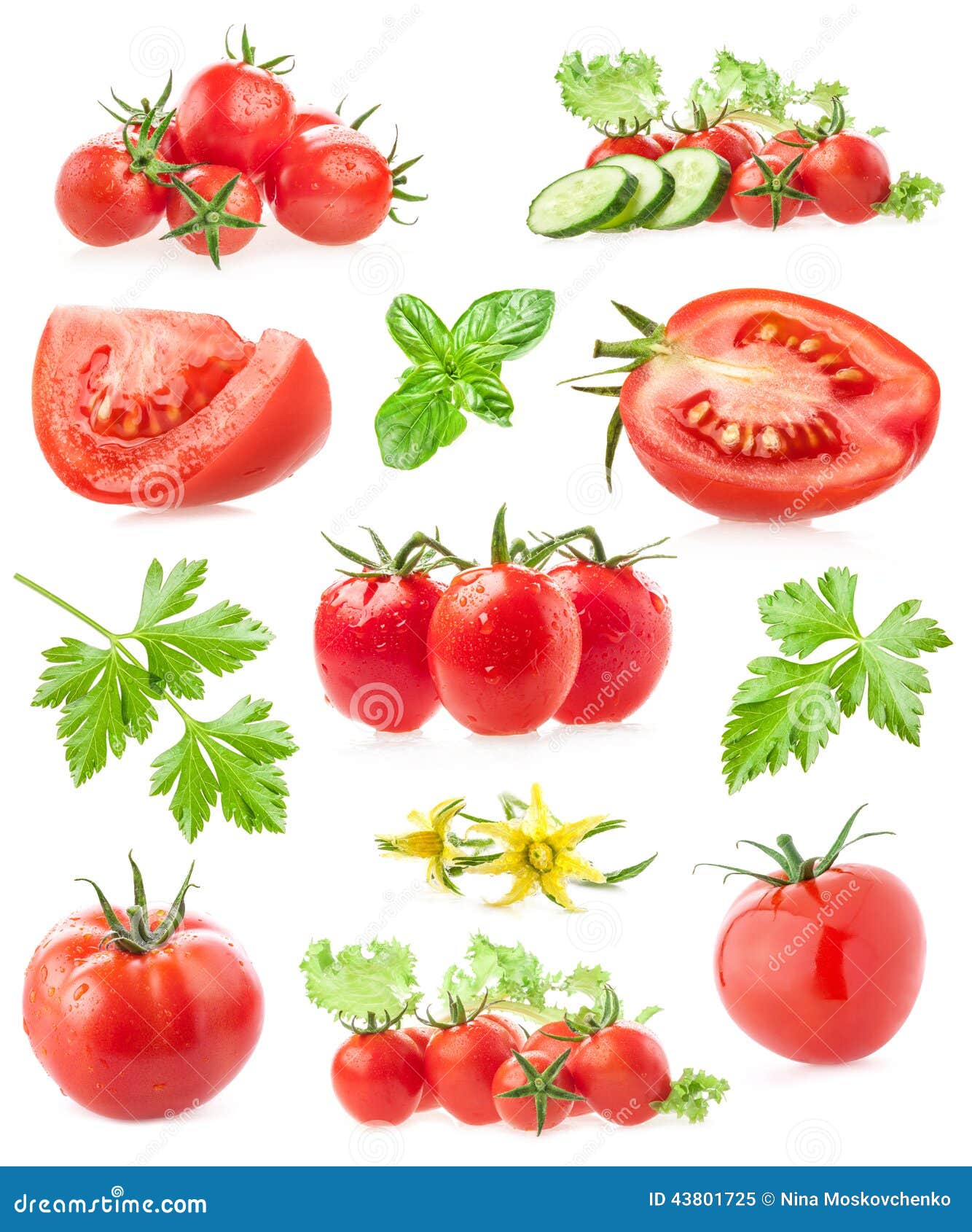 collections of tomatoes