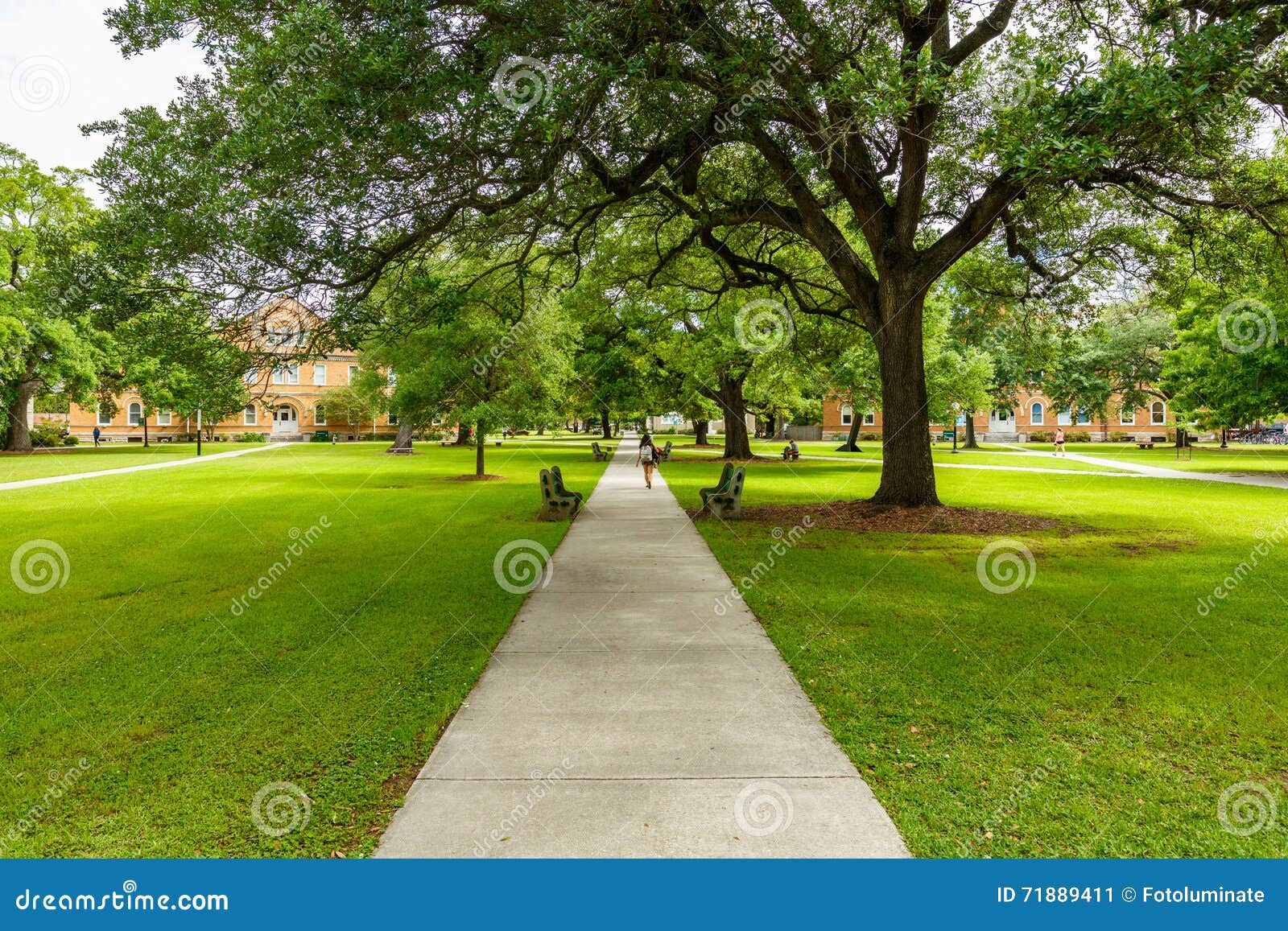 Campus Royalty Free Stock Photography 47892209