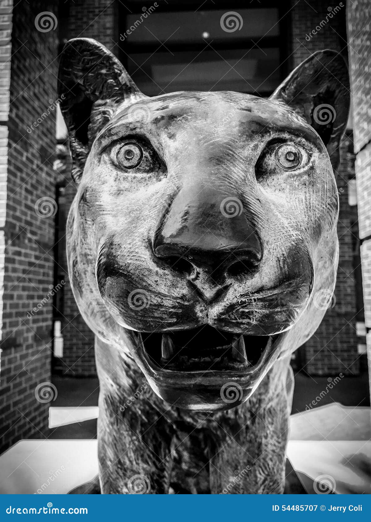 College of Charleston Cougar Statue at TD Arena Editorial Photography