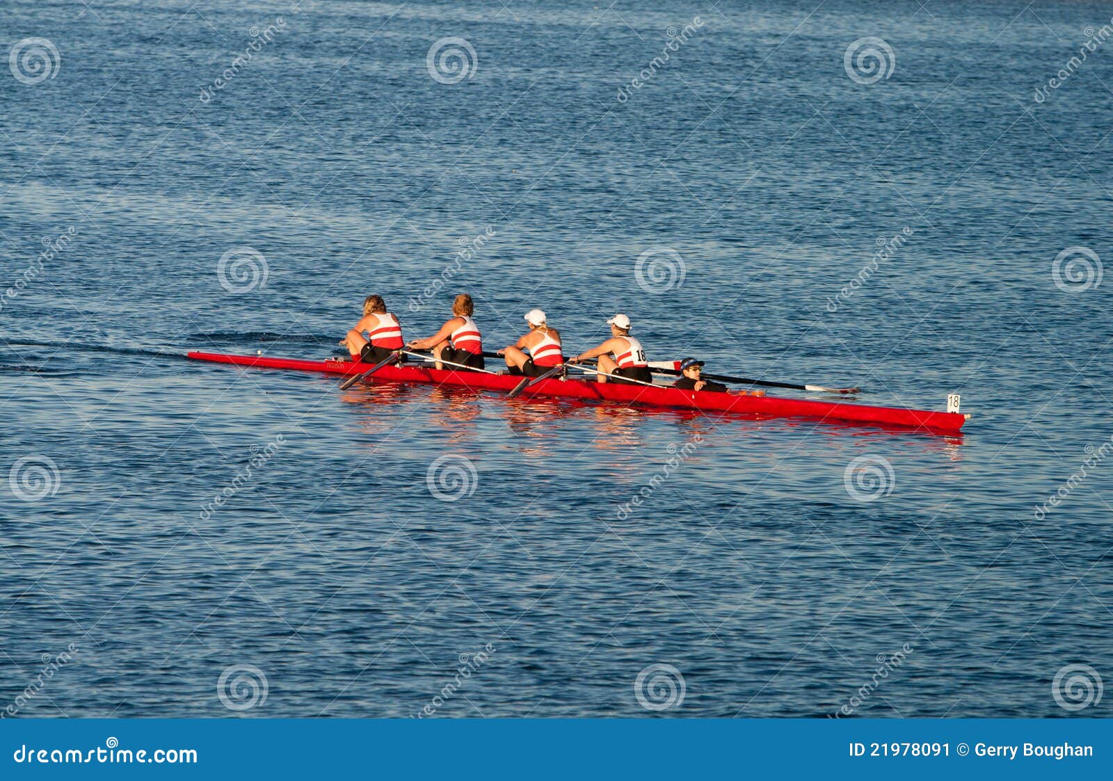 Collegiate Rowing Teams Practice on the Pacific Editorial Photo Image