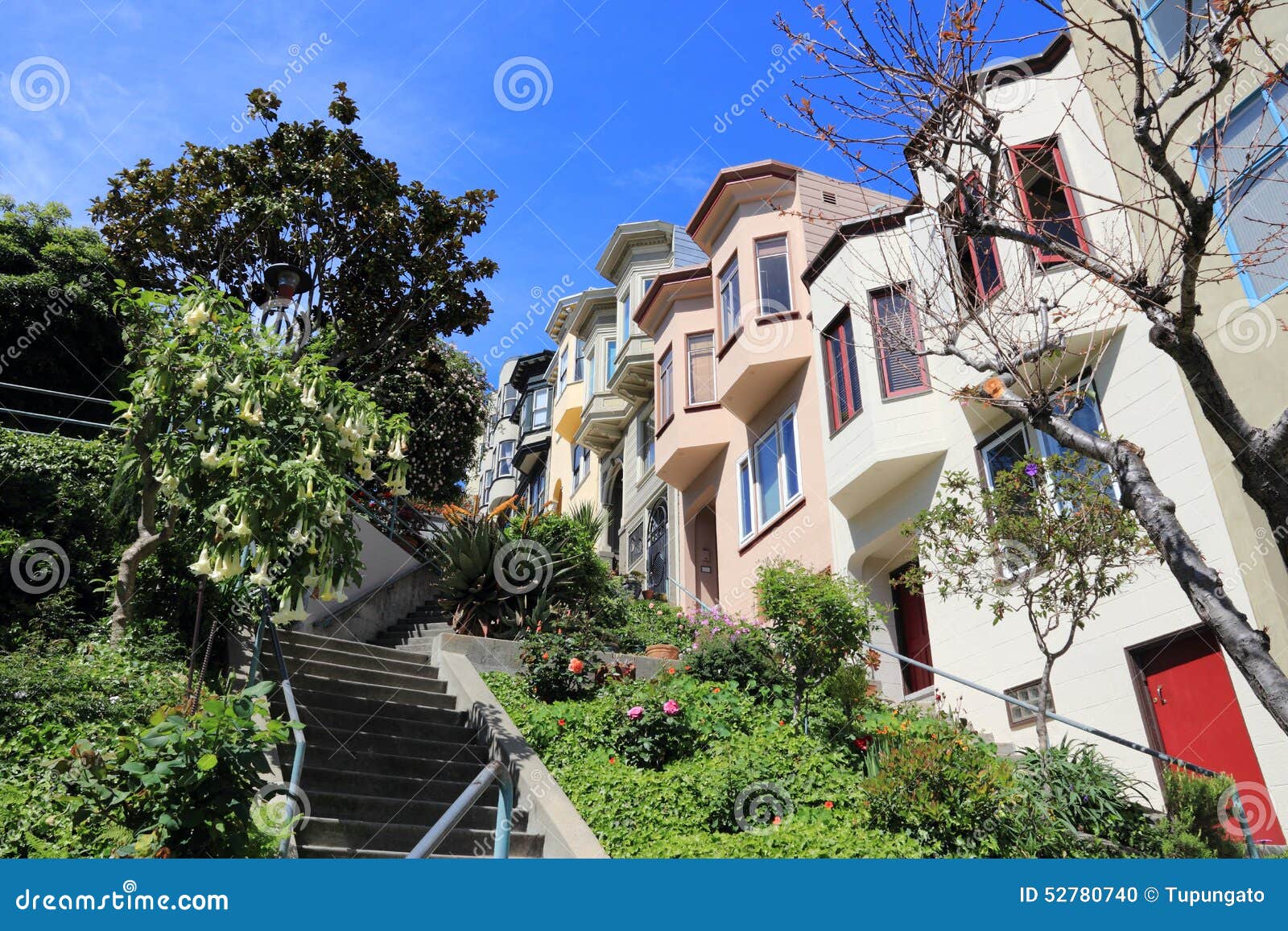 Collina Del Telegrafo, San Francisco Fotografia Stock - Immagine di ...