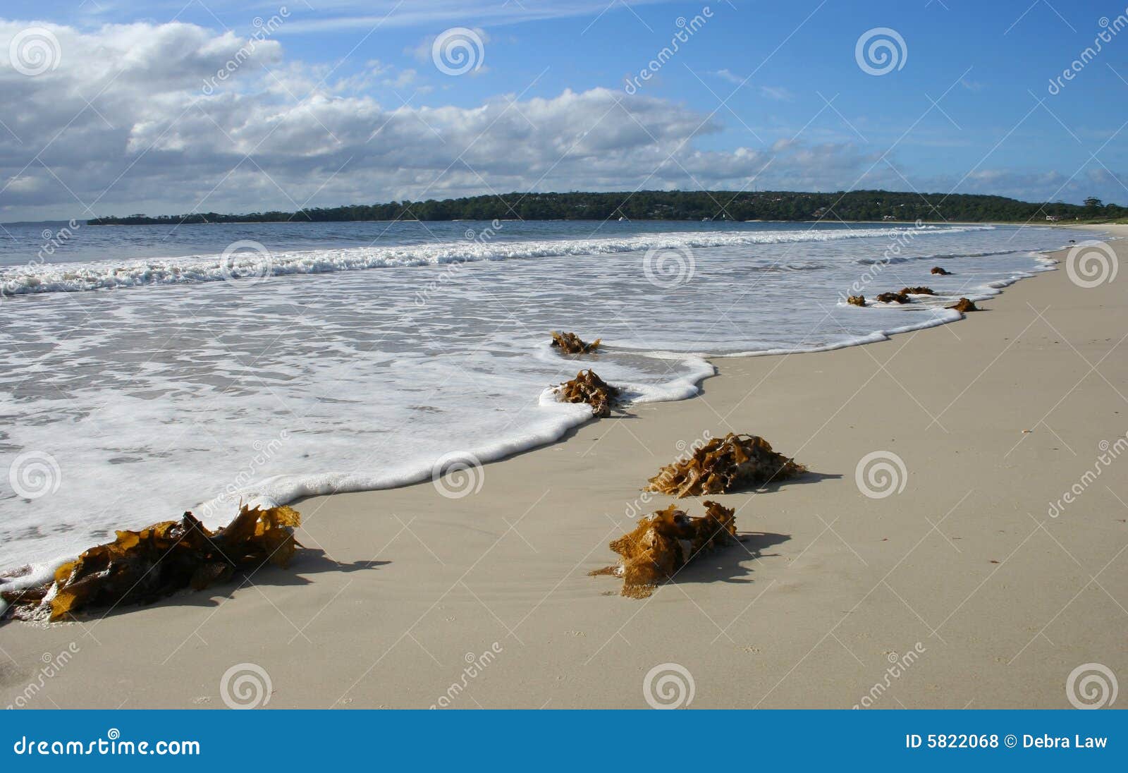 Collingwood Beach, Australia Stock Photo Image of summer, tourism