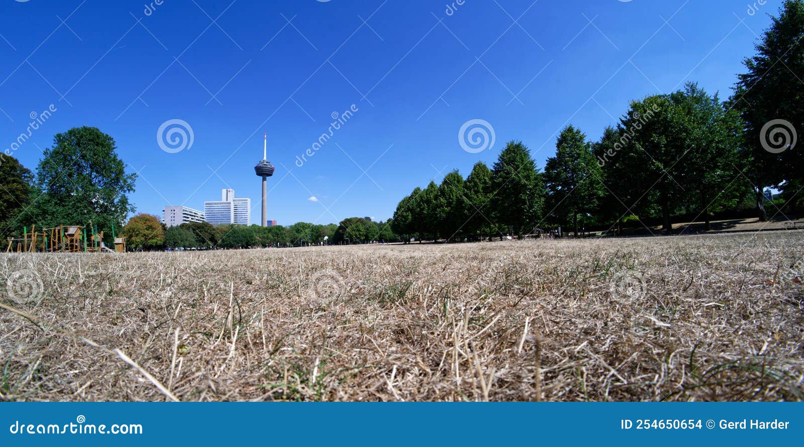 Drought in the Cologne Green Belt in Summer Editorial Stock Image