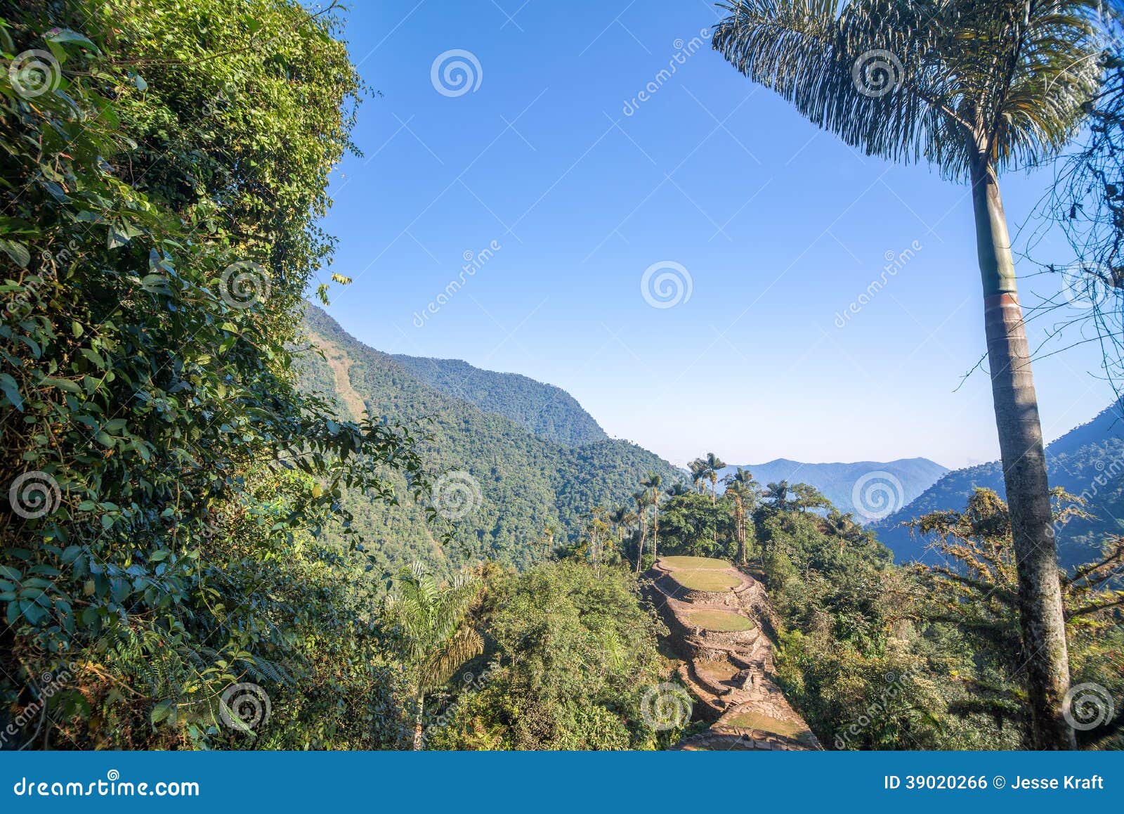 colombia's lost city