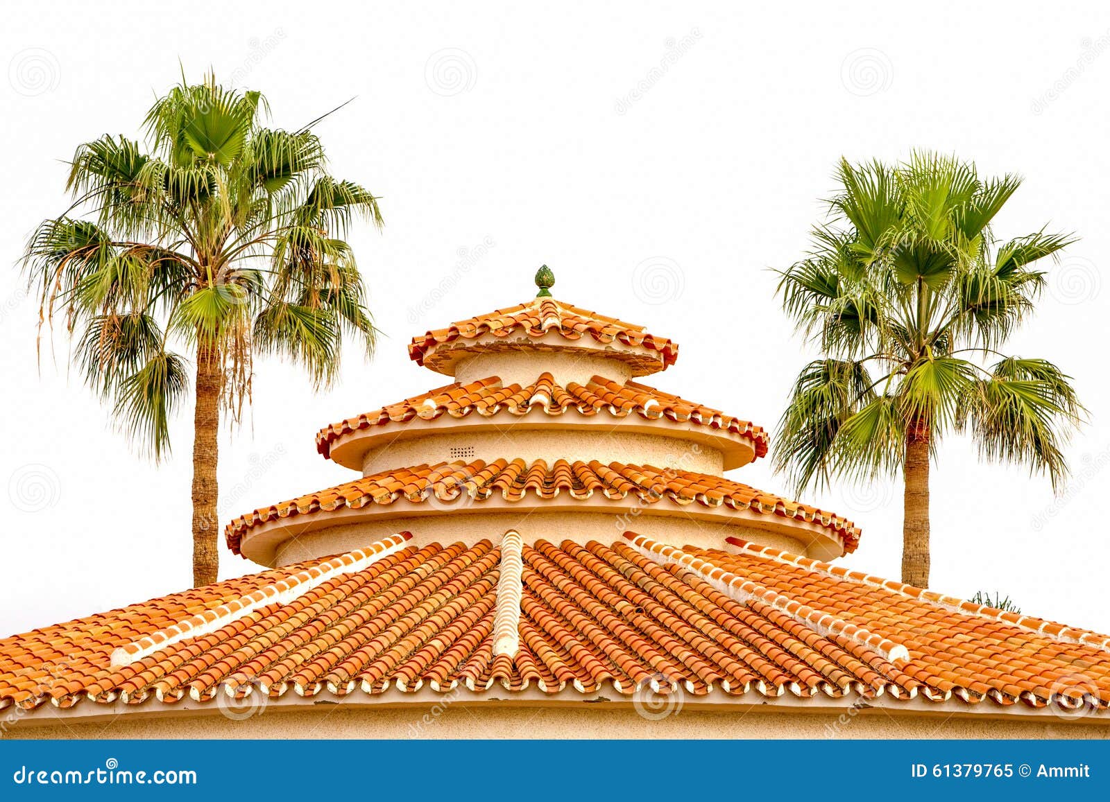 Colonial House Rooftop stock image. Image of sunny, outdoor 61379765