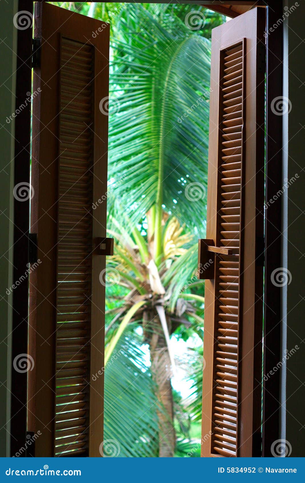 colonial window shutters