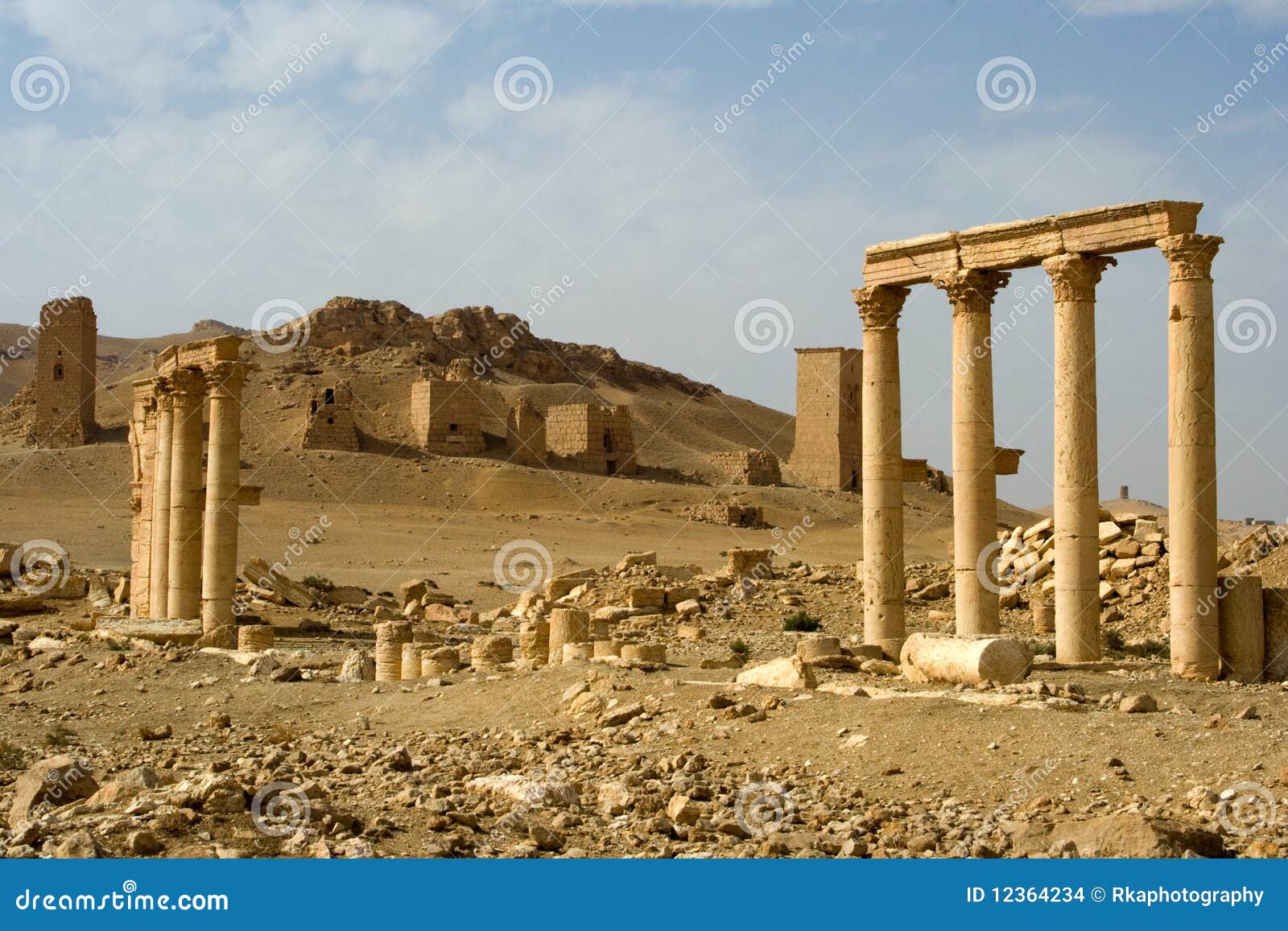 colonnades and necropolis, palmyra