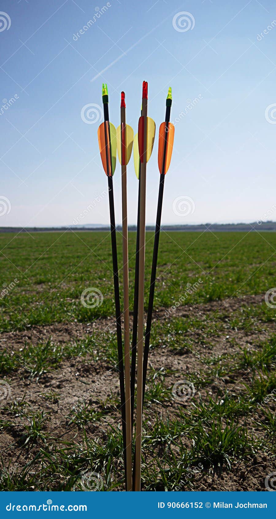 Color arrows for archery stock photo. Image of activity 90666152