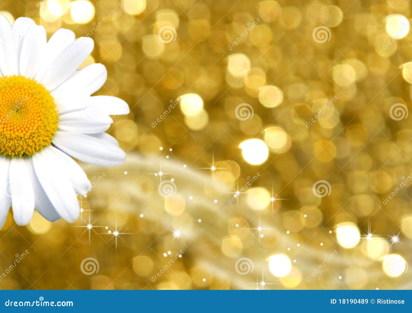 Color Background Gold And Daisy Royalty Free Stock Images Image 18190489